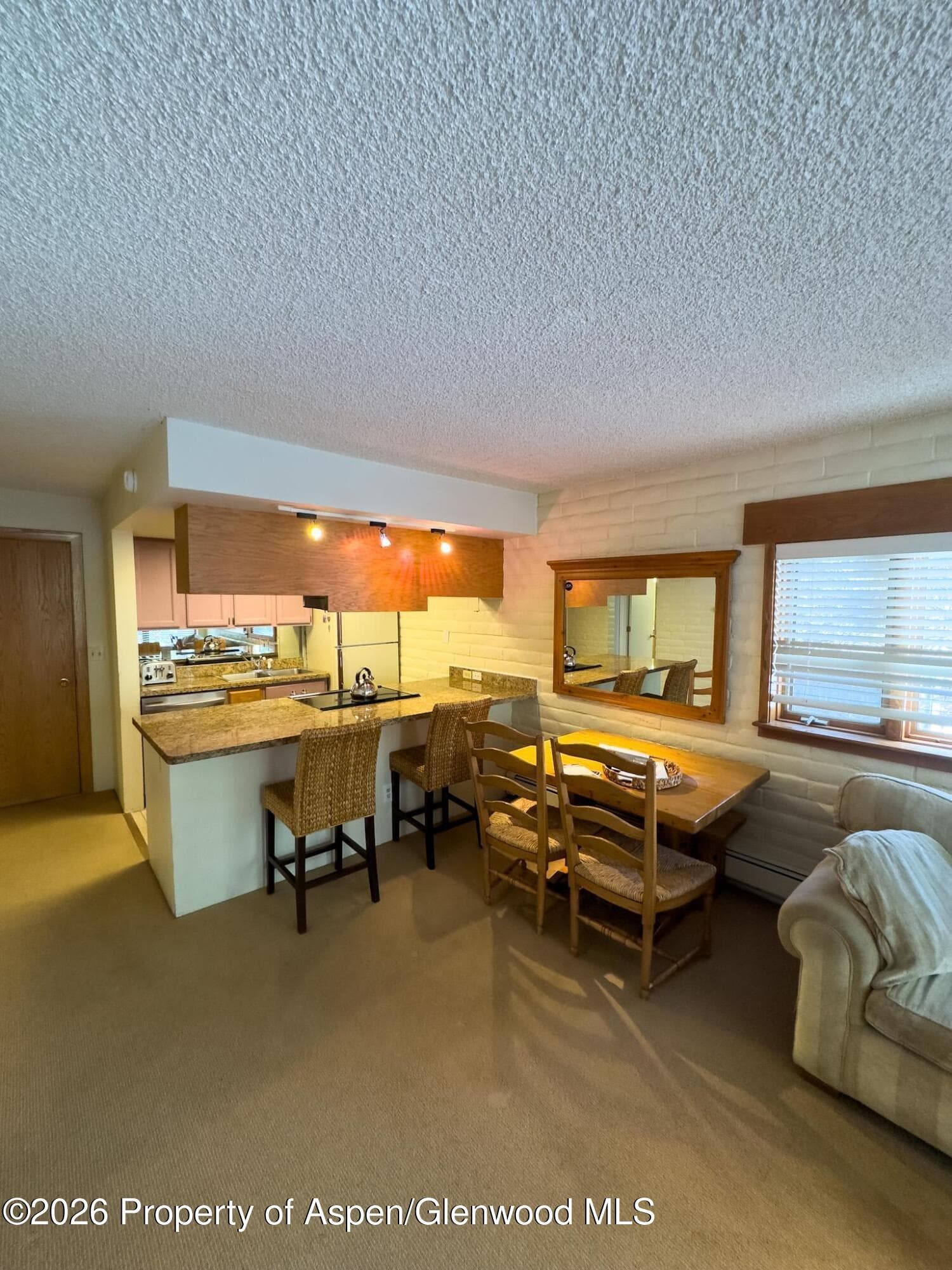 212 Vine Street 212, Aspen, CO 81611 - Photo 3
