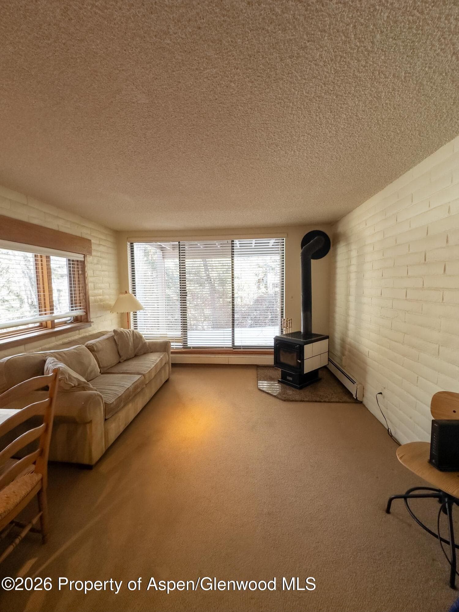 212 Vine Street 212, Aspen, CO 81611 - Photo 5