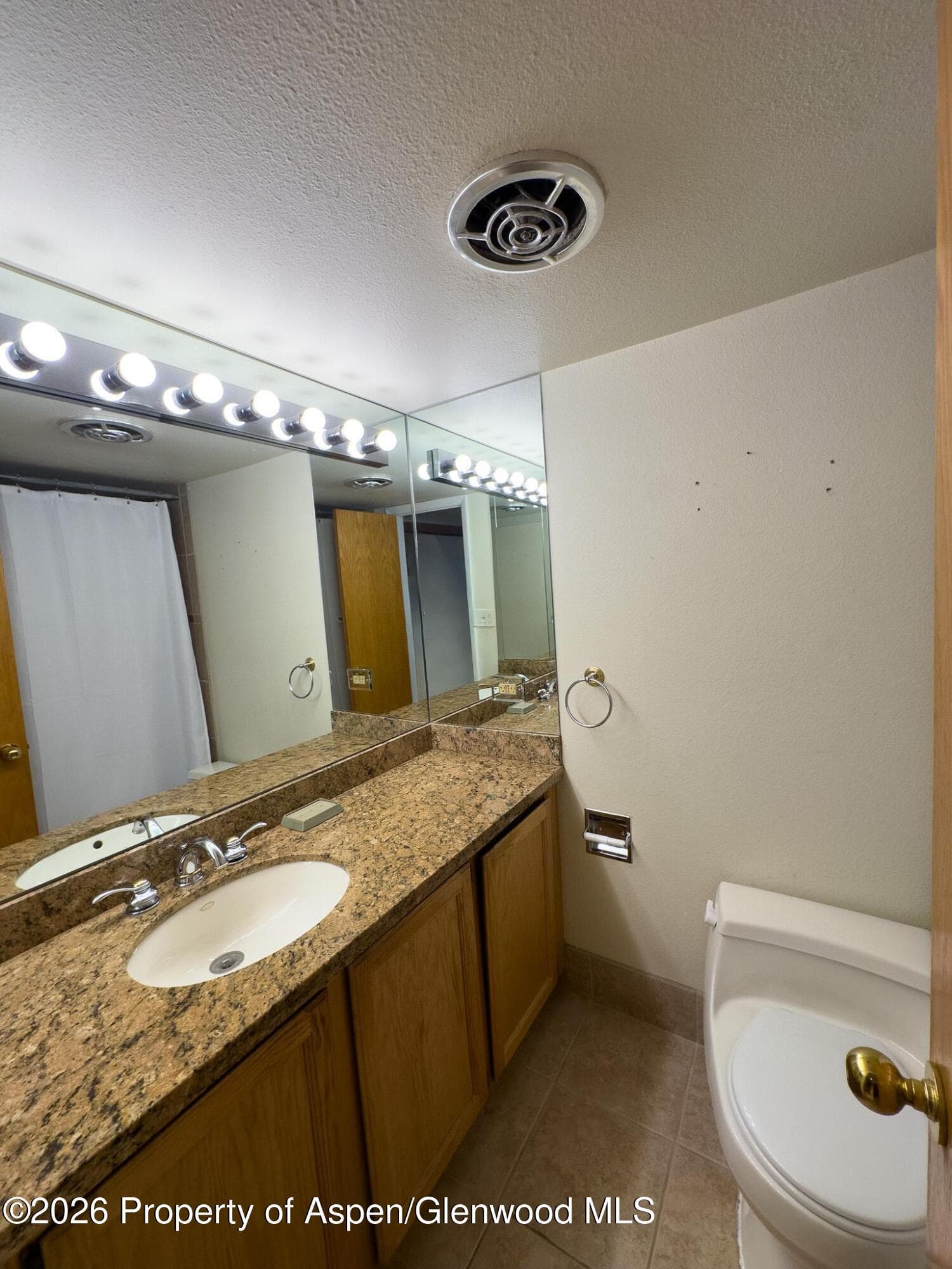 212 Vine Street 212, Aspen, CO 81611 - Photo 6