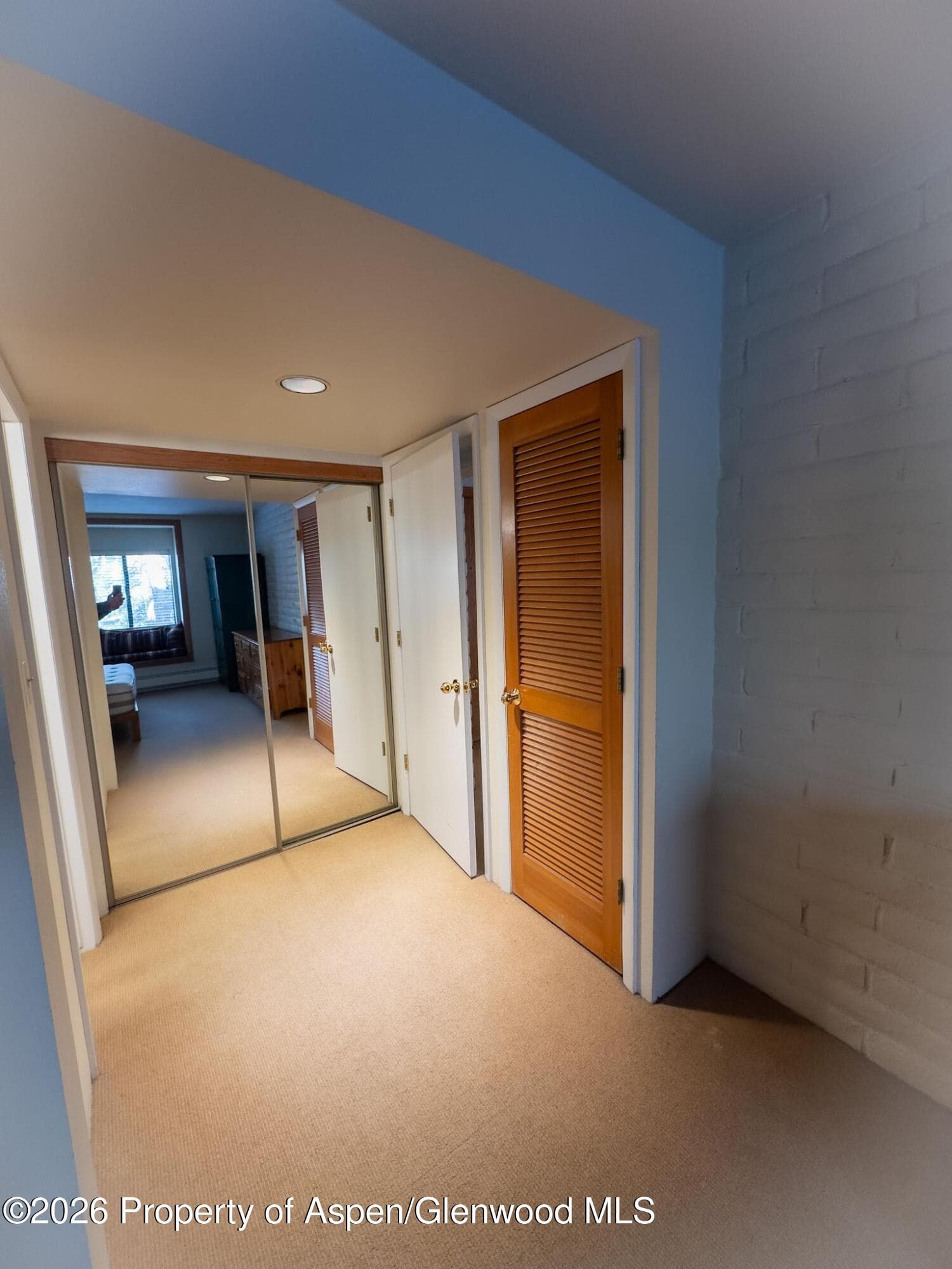 212 Vine Street 212, Aspen, CO 81611 - Photo 7