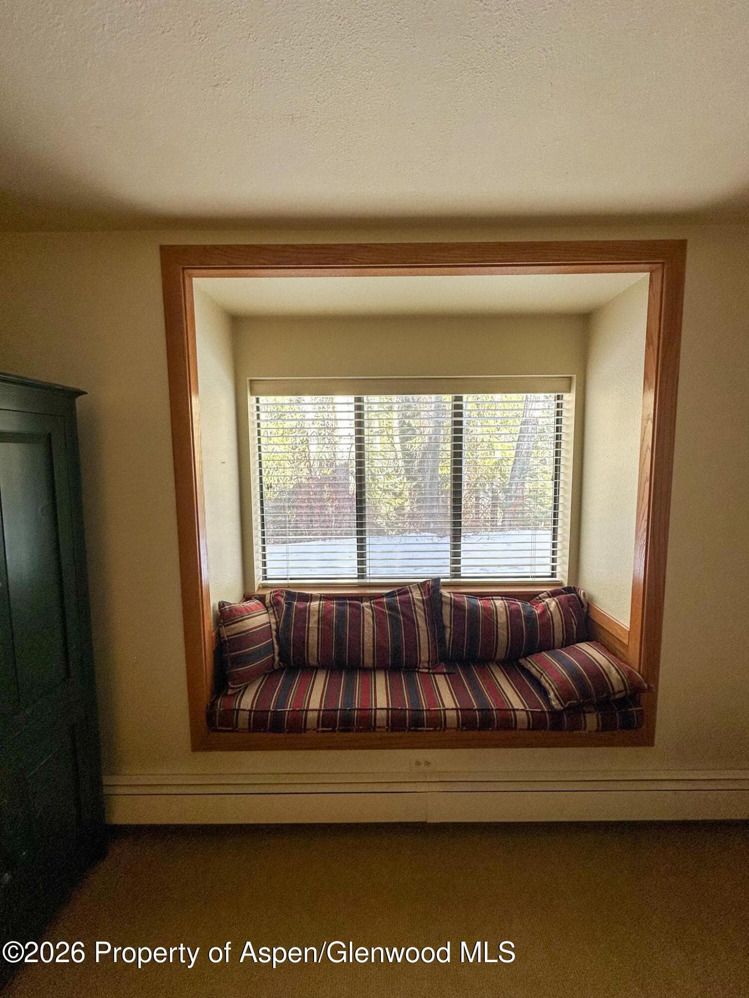 212 Vine Street 212, Aspen, CO 81611 - Photo 9