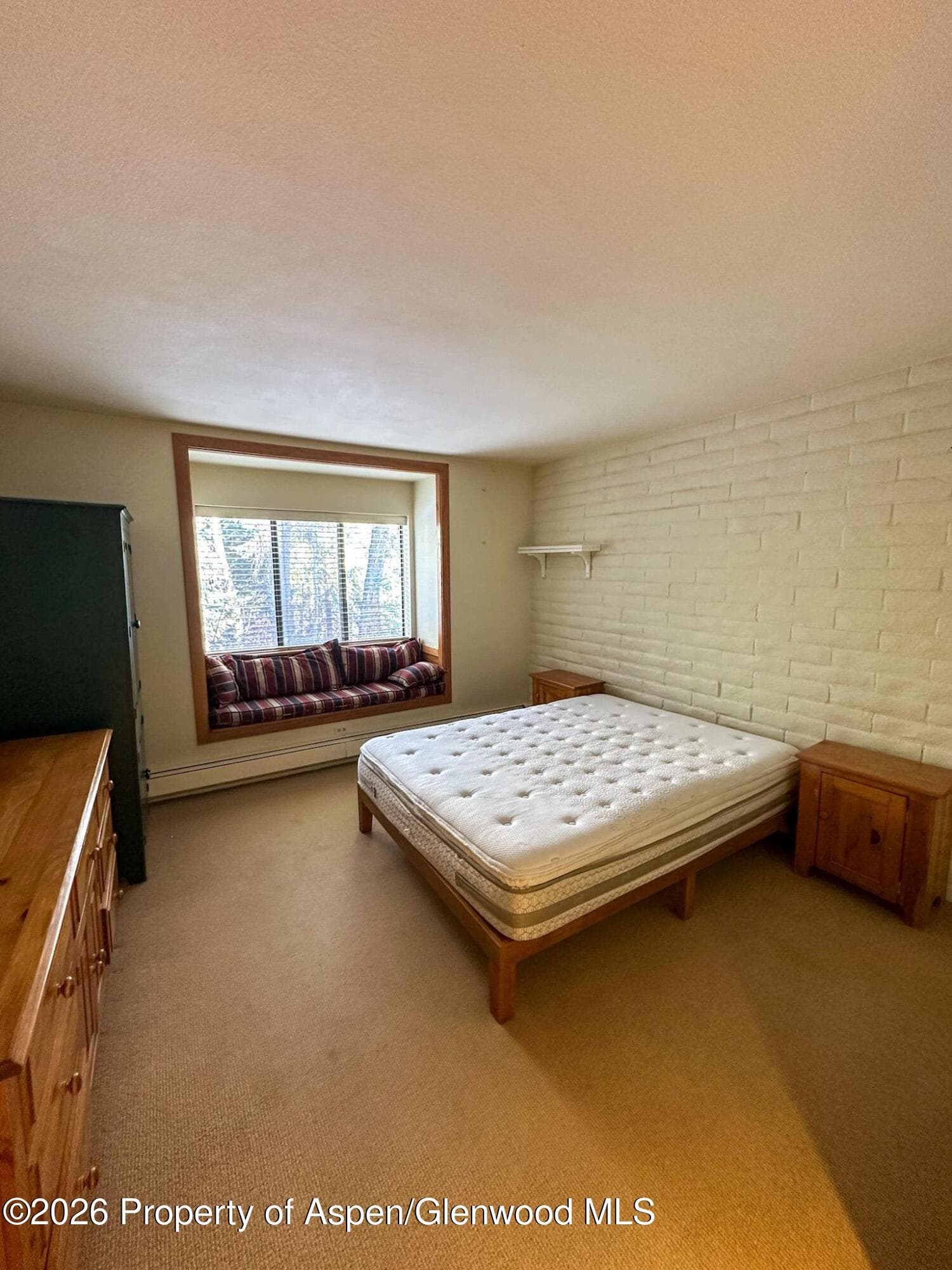 212 Vine Street 212, Aspen, CO 81611 - Photo 10
