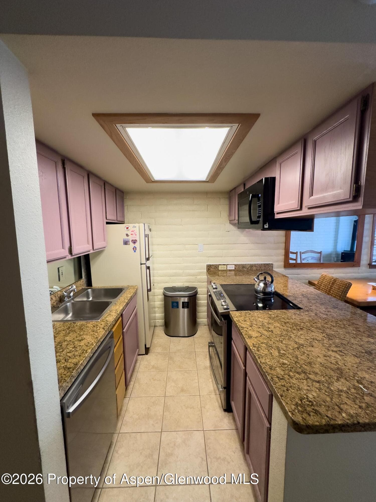 212 Vine Street 212, Aspen, CO 81611 - Photo 2