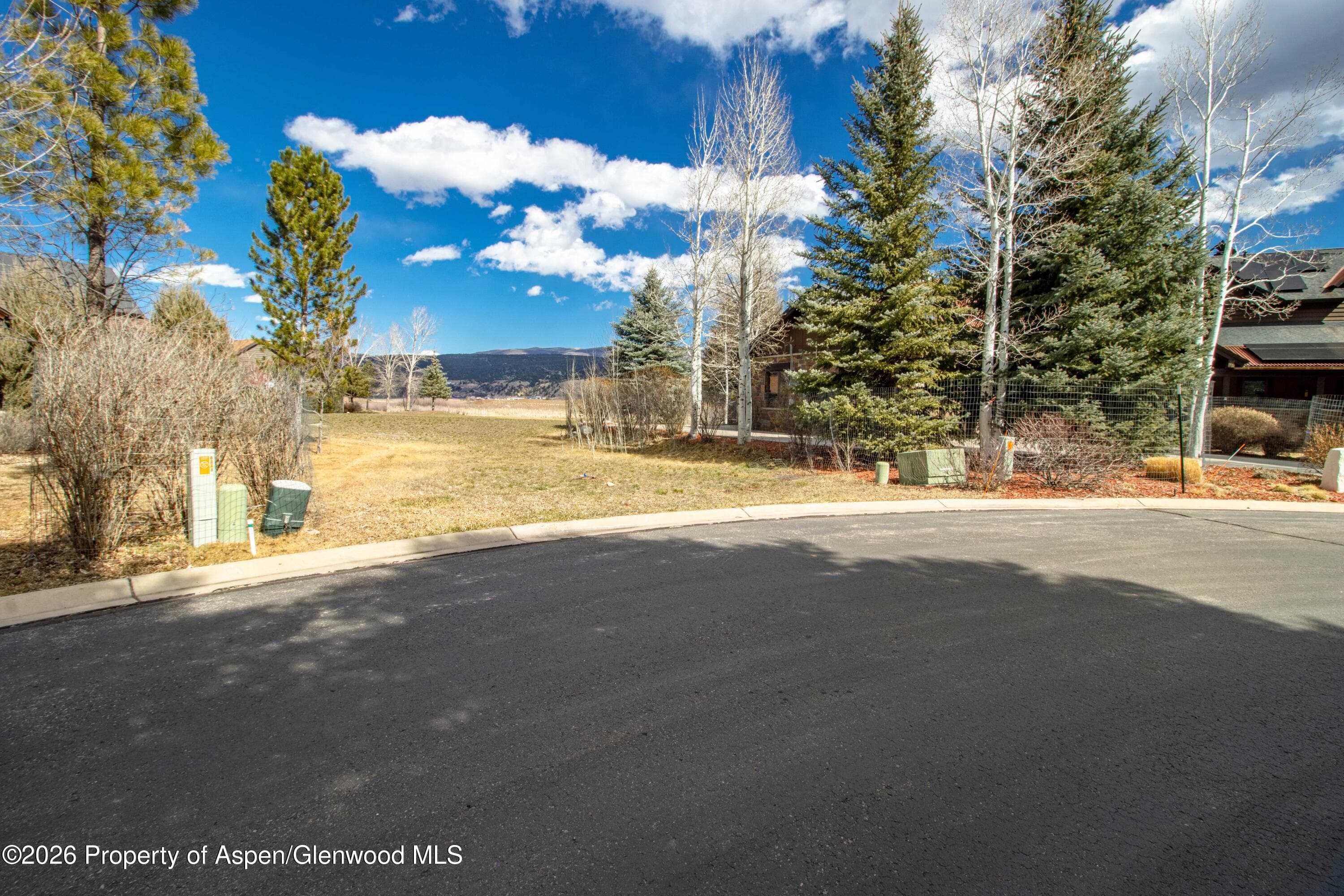 28 Spring Loop, Carbondale, CO 81623 - Photo 3