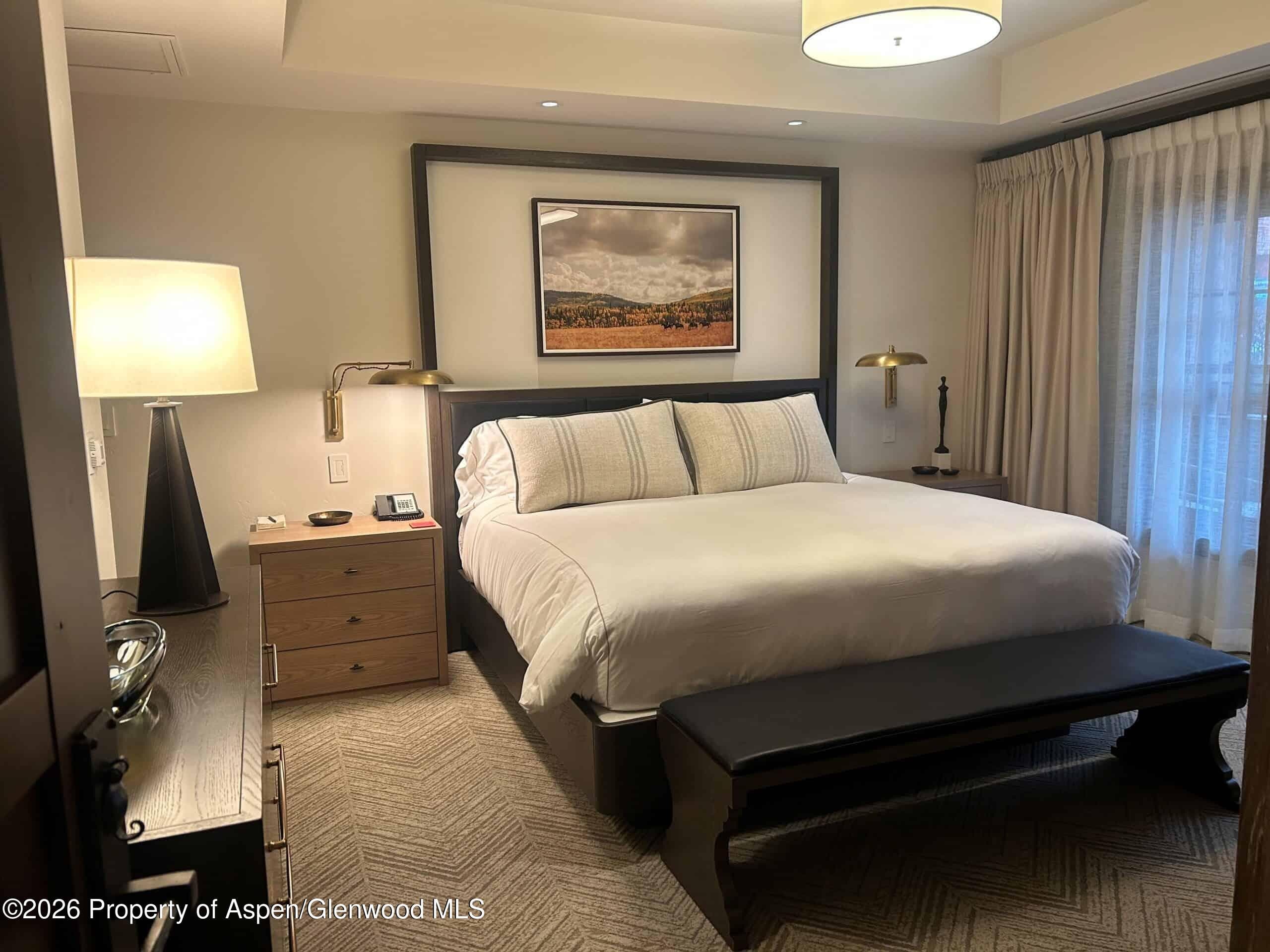 219 E Durant Avenue H16, Aspen, CO 81611 - Photo 13