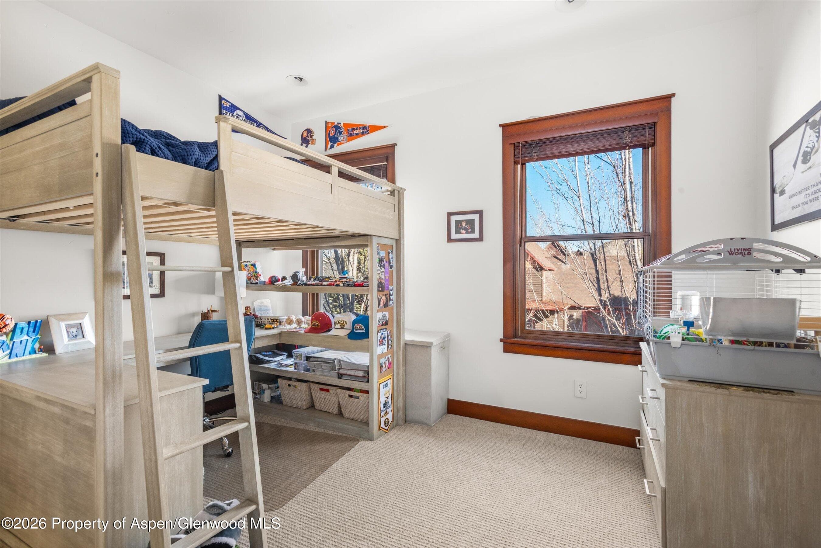 410 Meadow Court, Basalt, CO 81621 - Photo 25