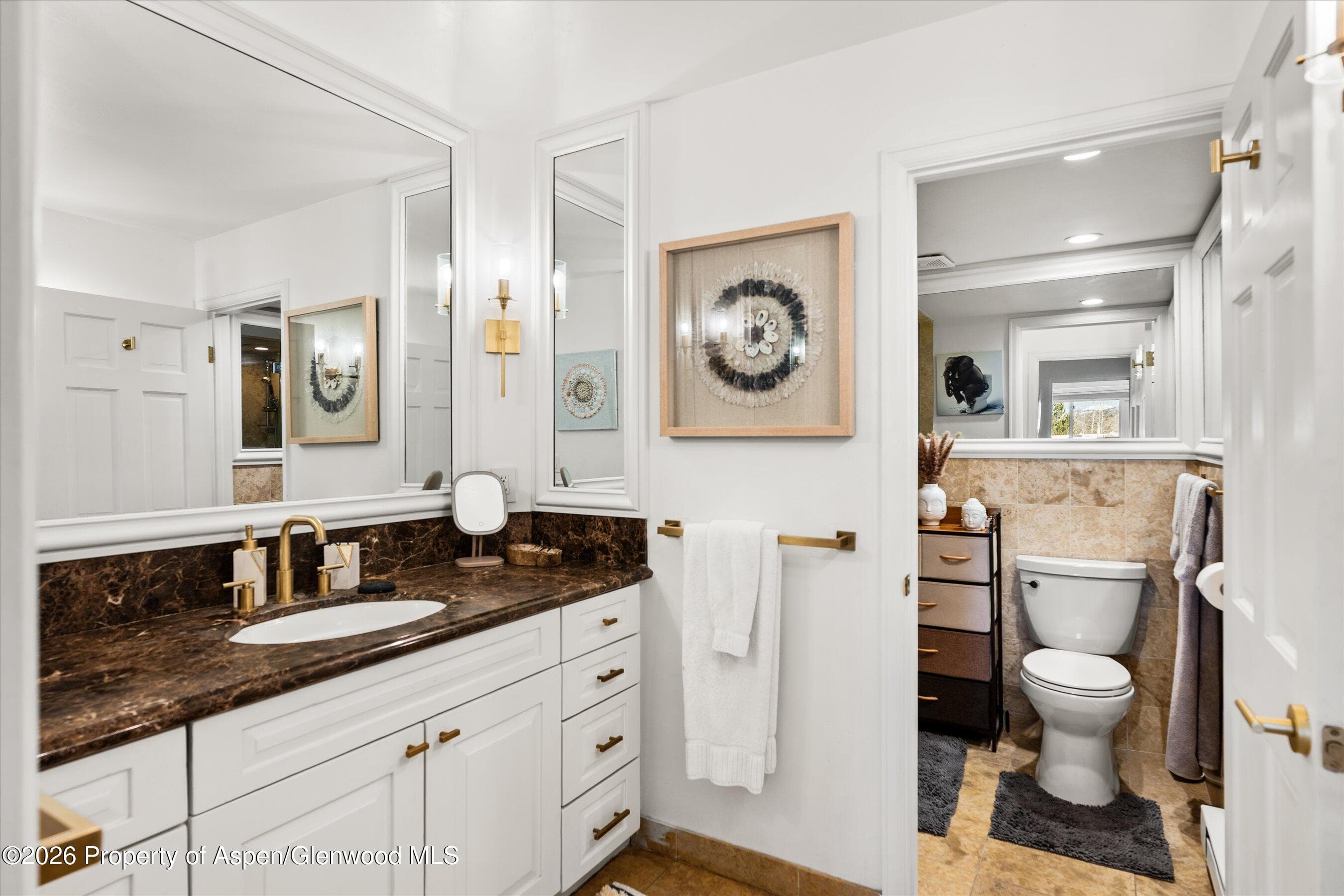 901 E Hyman Avenue 11, Aspen, CO 81611 - Photo 8