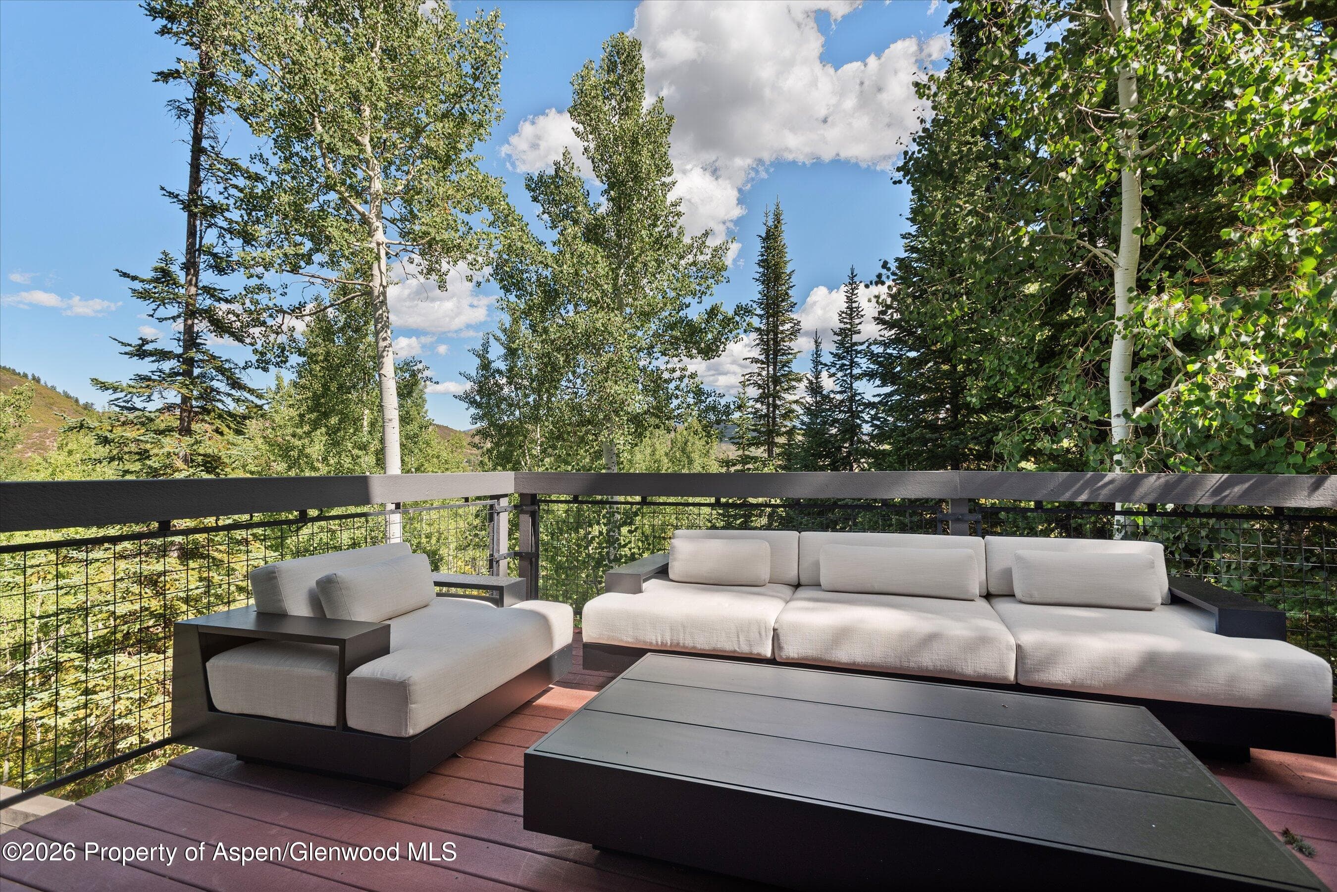 32 Elk Ridge Lane, Snowmass Village, CO 81615 - Photo 57