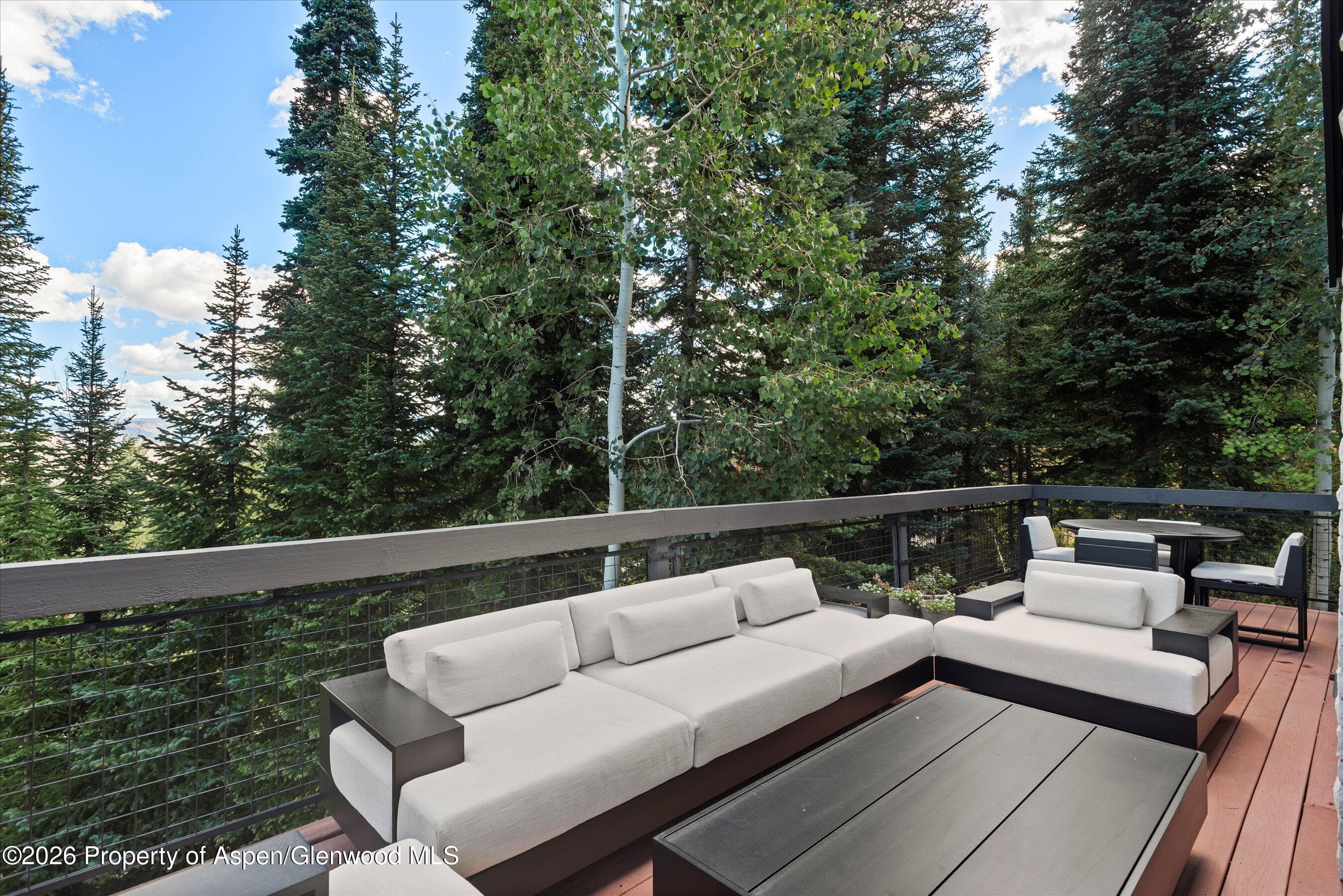 32 Elk Ridge Lane, Snowmass Village, CO 81615 - Photo 58