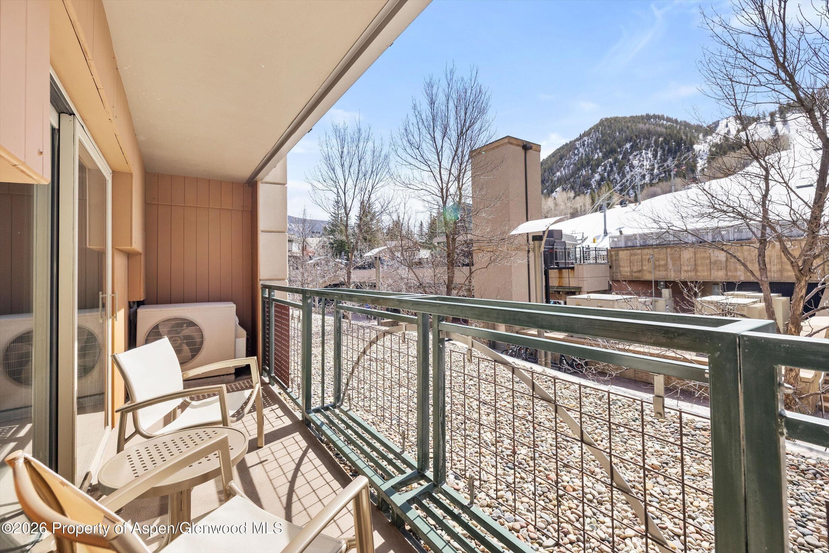 555 E Durant Avenue 2c, Aspen, CO 81611 - Photo 4