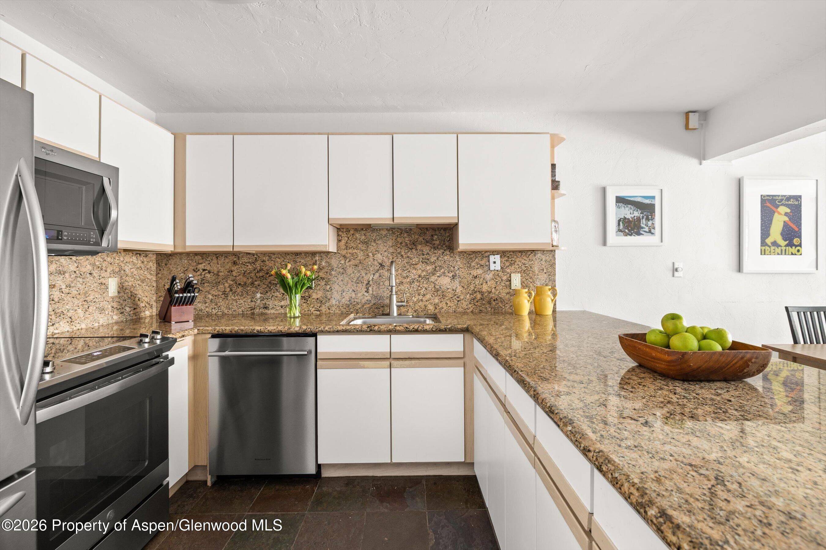 555 E Durant Avenue 2c, Aspen, CO 81611 - Photo 8