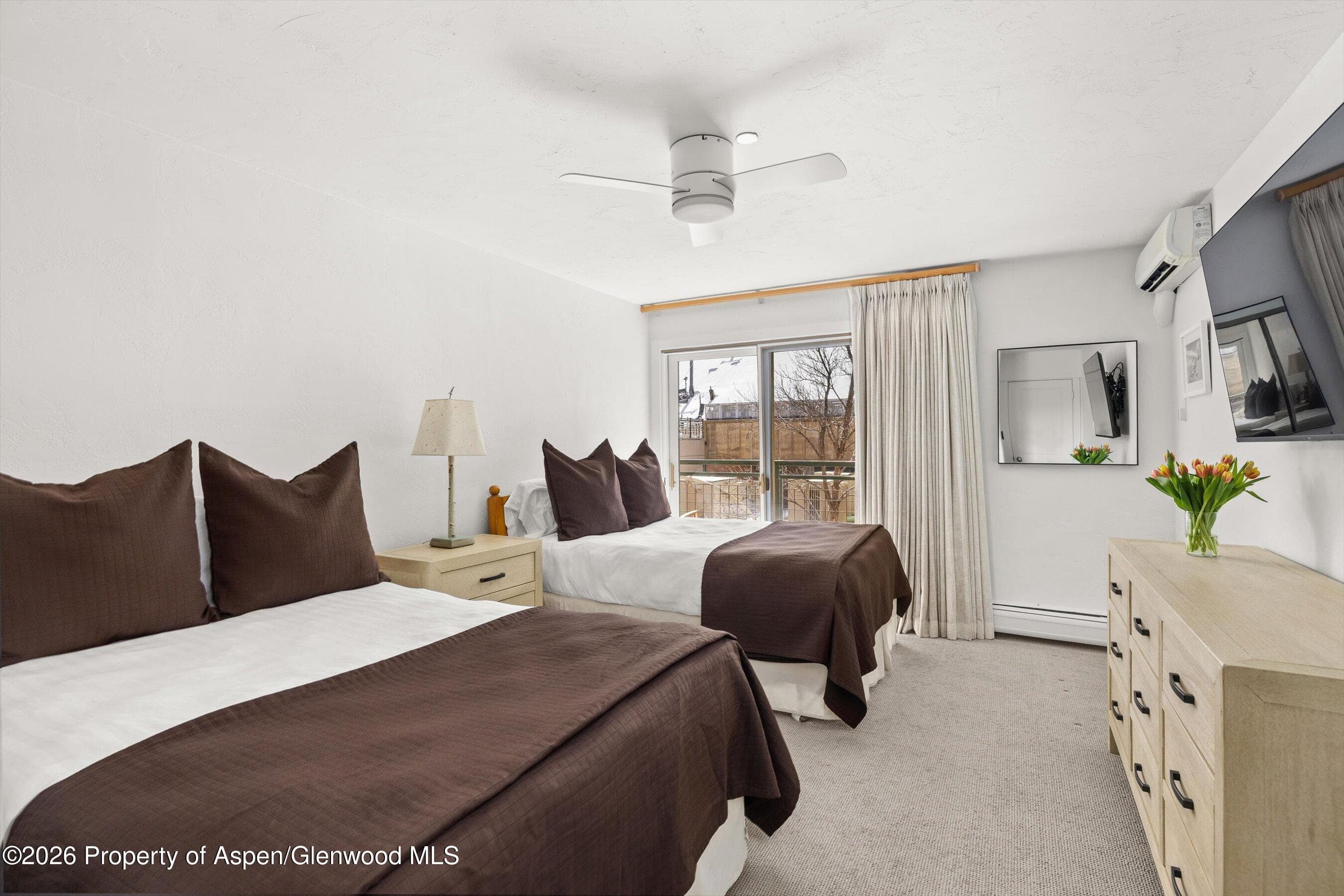 555 E Durant Avenue 2c, Aspen, CO 81611 - Photo 12