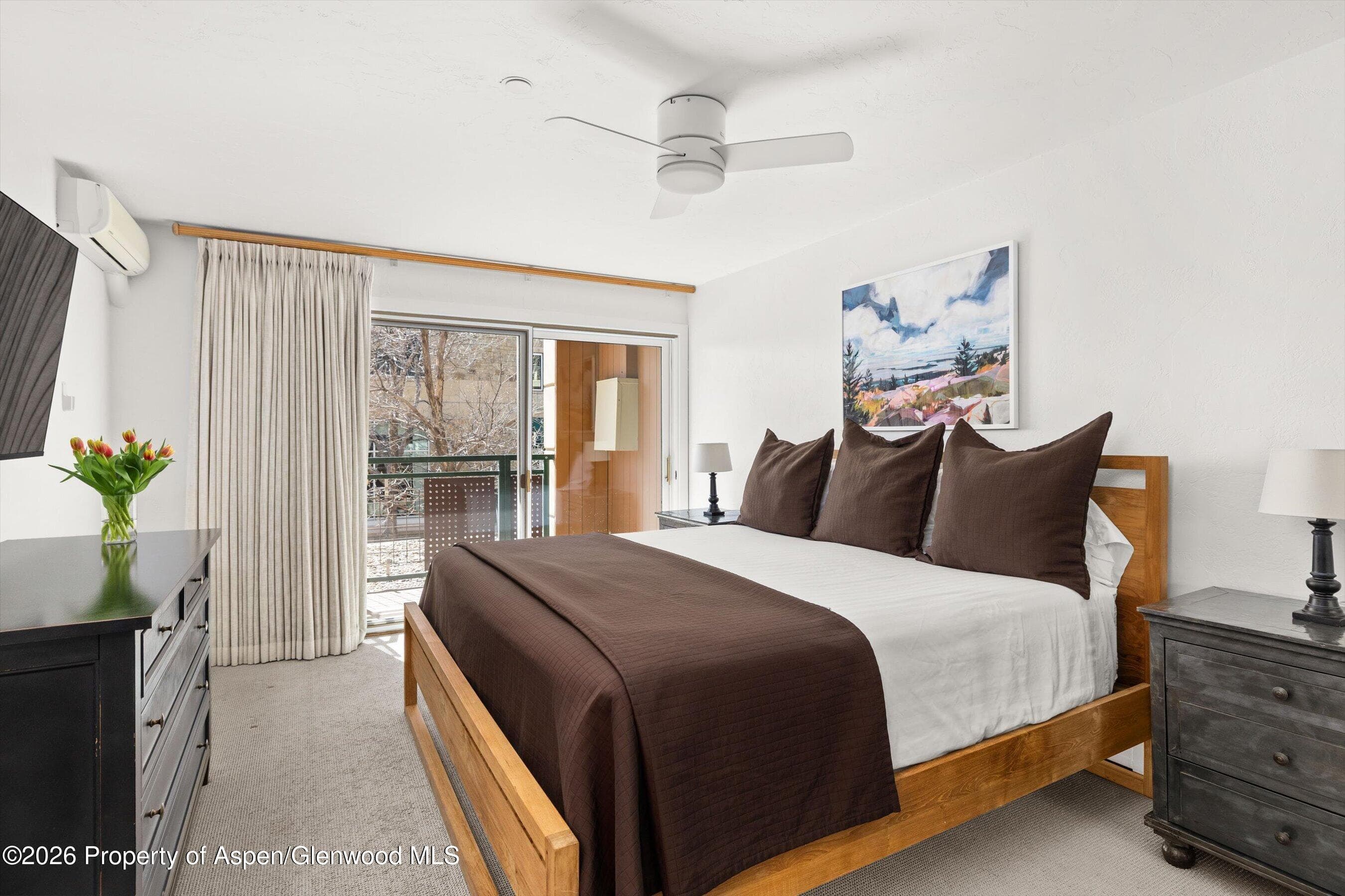 555 E Durant Avenue 2c, Aspen, CO 81611 - Photo 10
