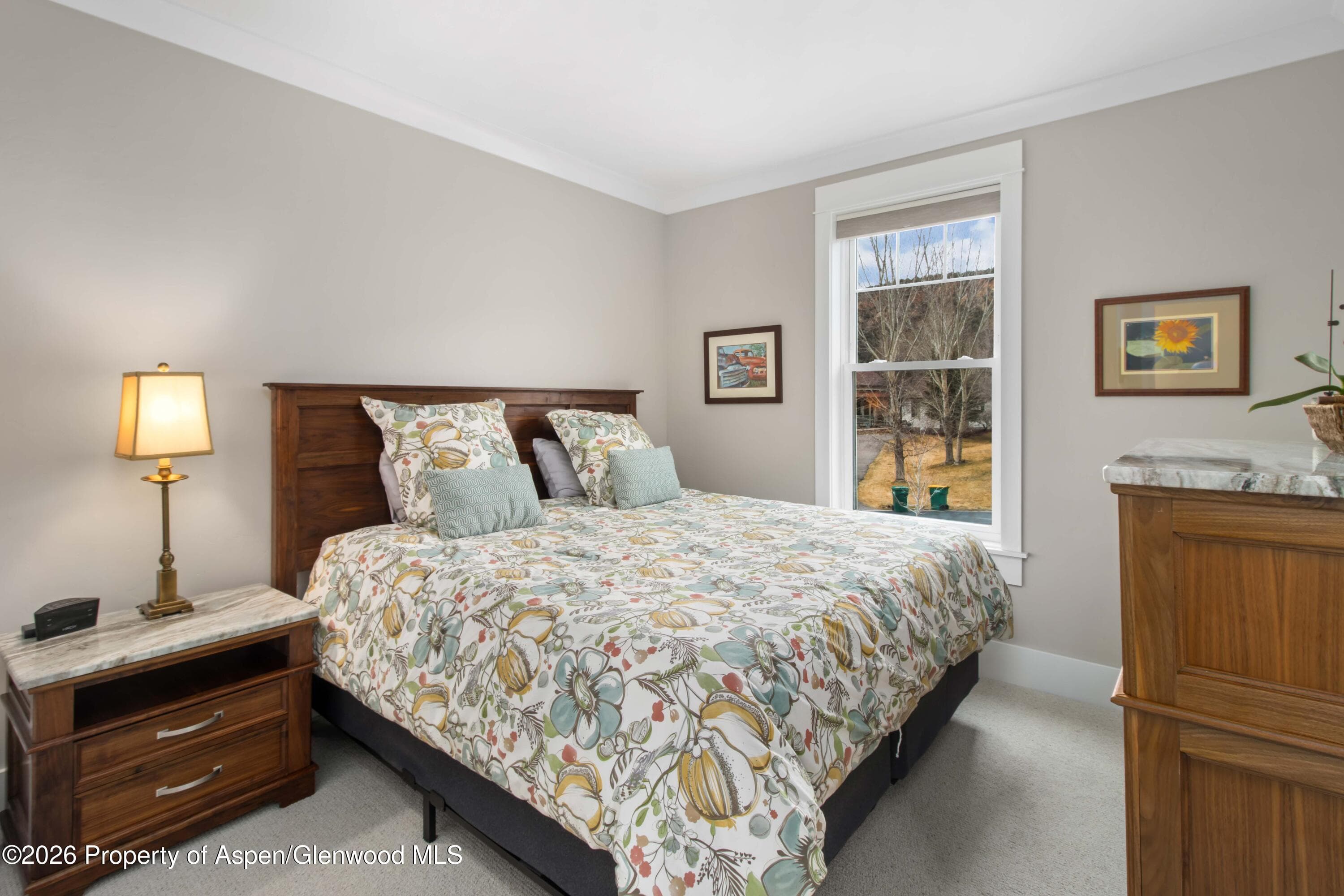 196 Silver Mountain Drive, Glenwood Springs, CO 81601 - Photo 20