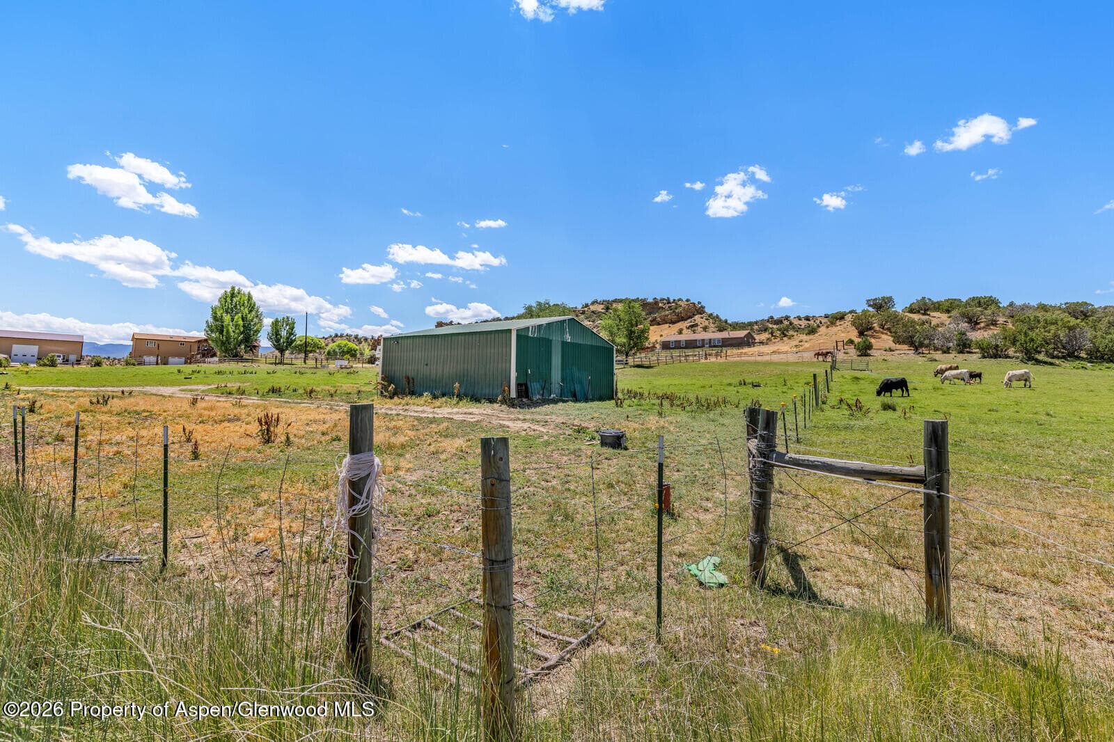 2880 County Road 233, Rifle, CO 81650 - Photo 40