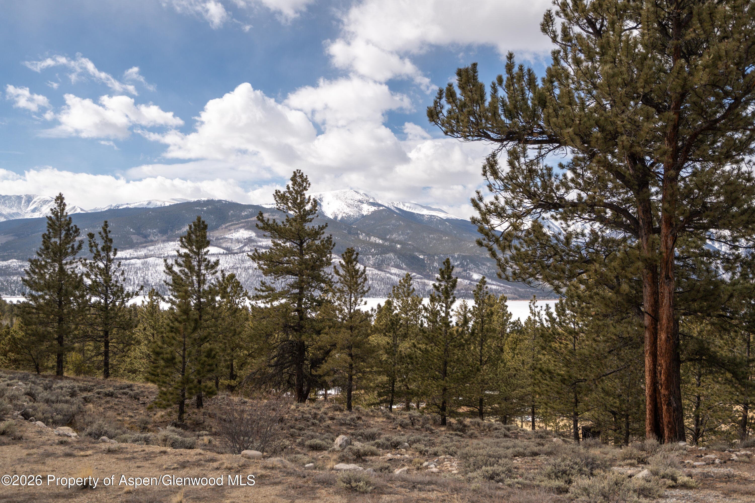 104 Northview Drive, Twin Lakes, CO 81251 - Photo 4
