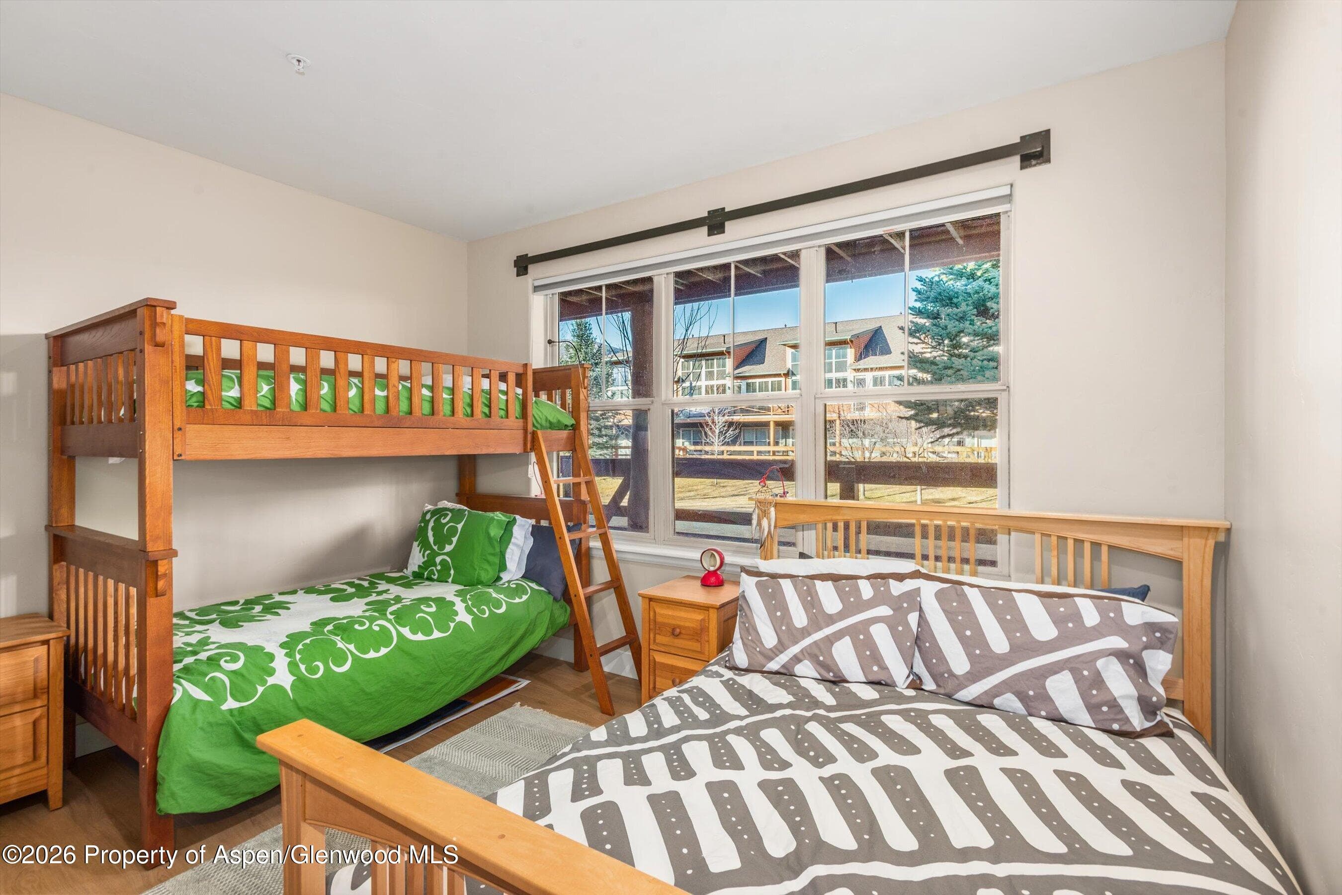 546 Evans Court, Basalt, CO 81621 - Photo 8