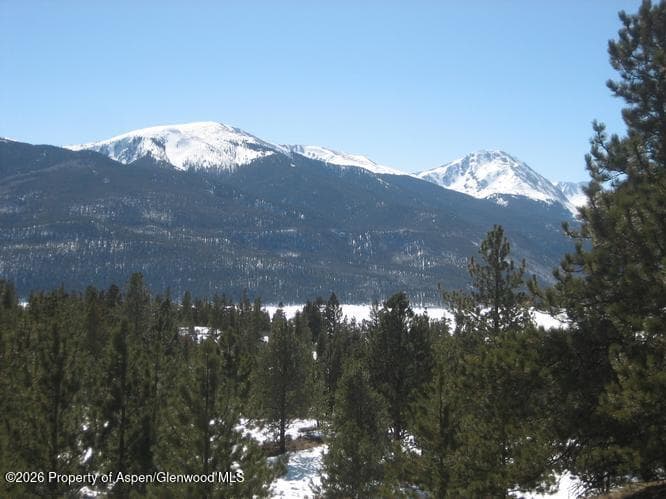 104 Northview Drive, Twin Lakes, CO 81251 - Photo 18