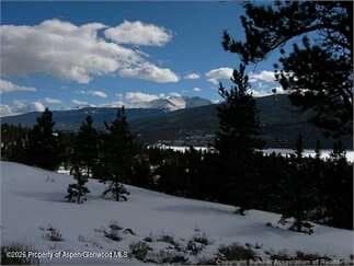 104 Northview Drive, Twin Lakes, CO 81251 - Photo 3