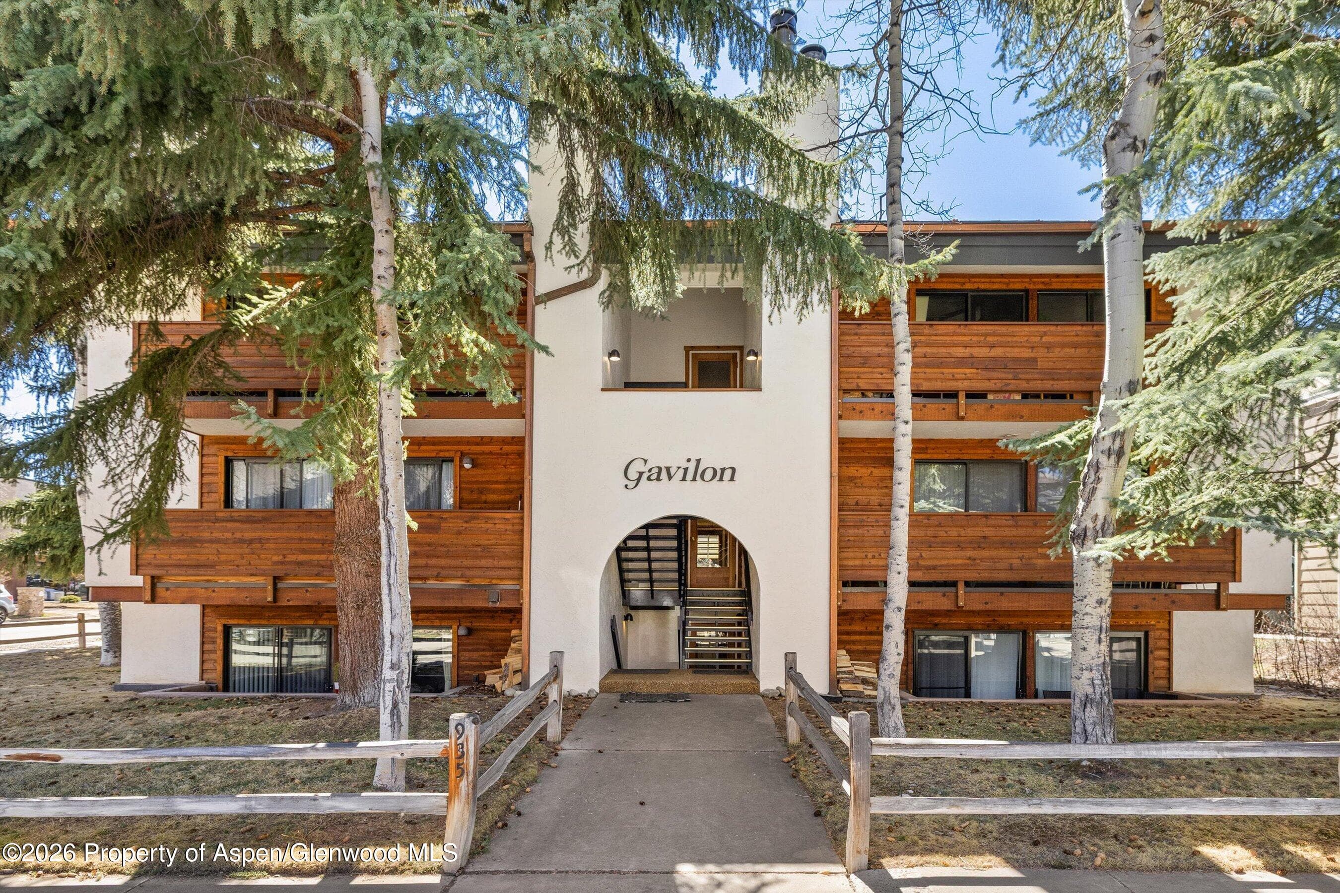 935 E Hopkins Avenue 4, Aspen, CO 81611 - Photo 11