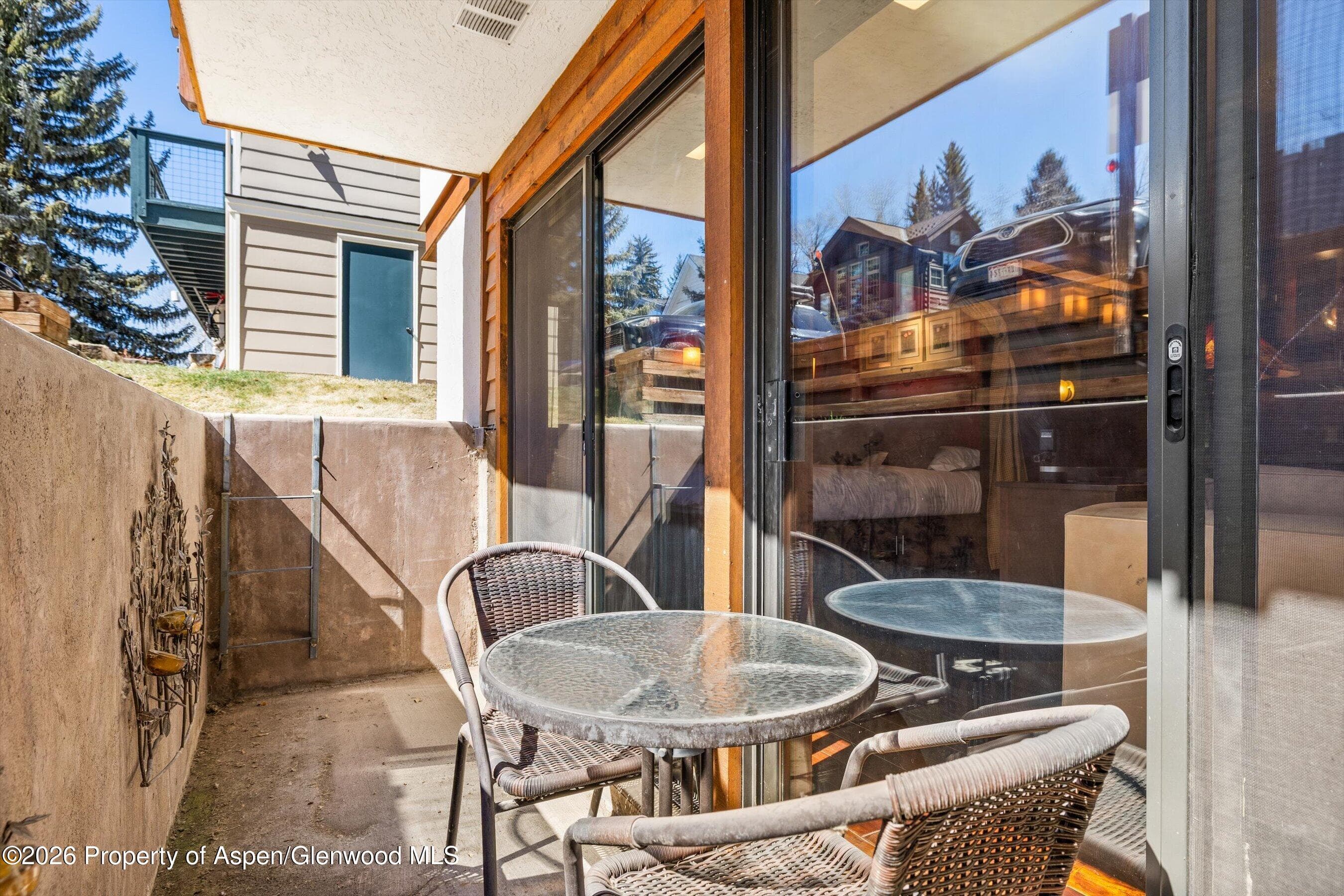 935 E Hopkins Avenue 4, Aspen, CO 81611 - Photo 10