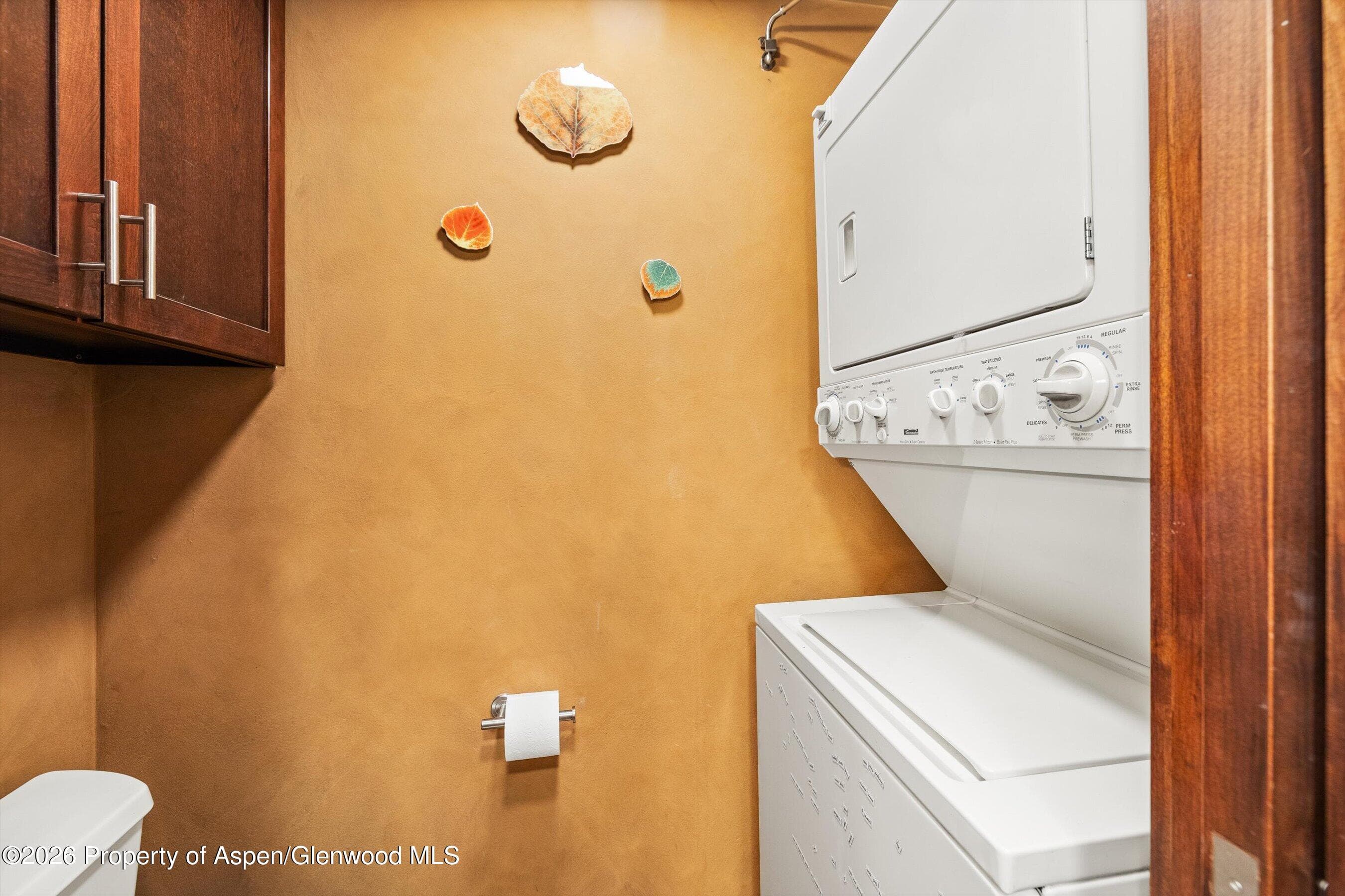 935 E Hopkins Avenue 4, Aspen, CO 81611 - Photo 9