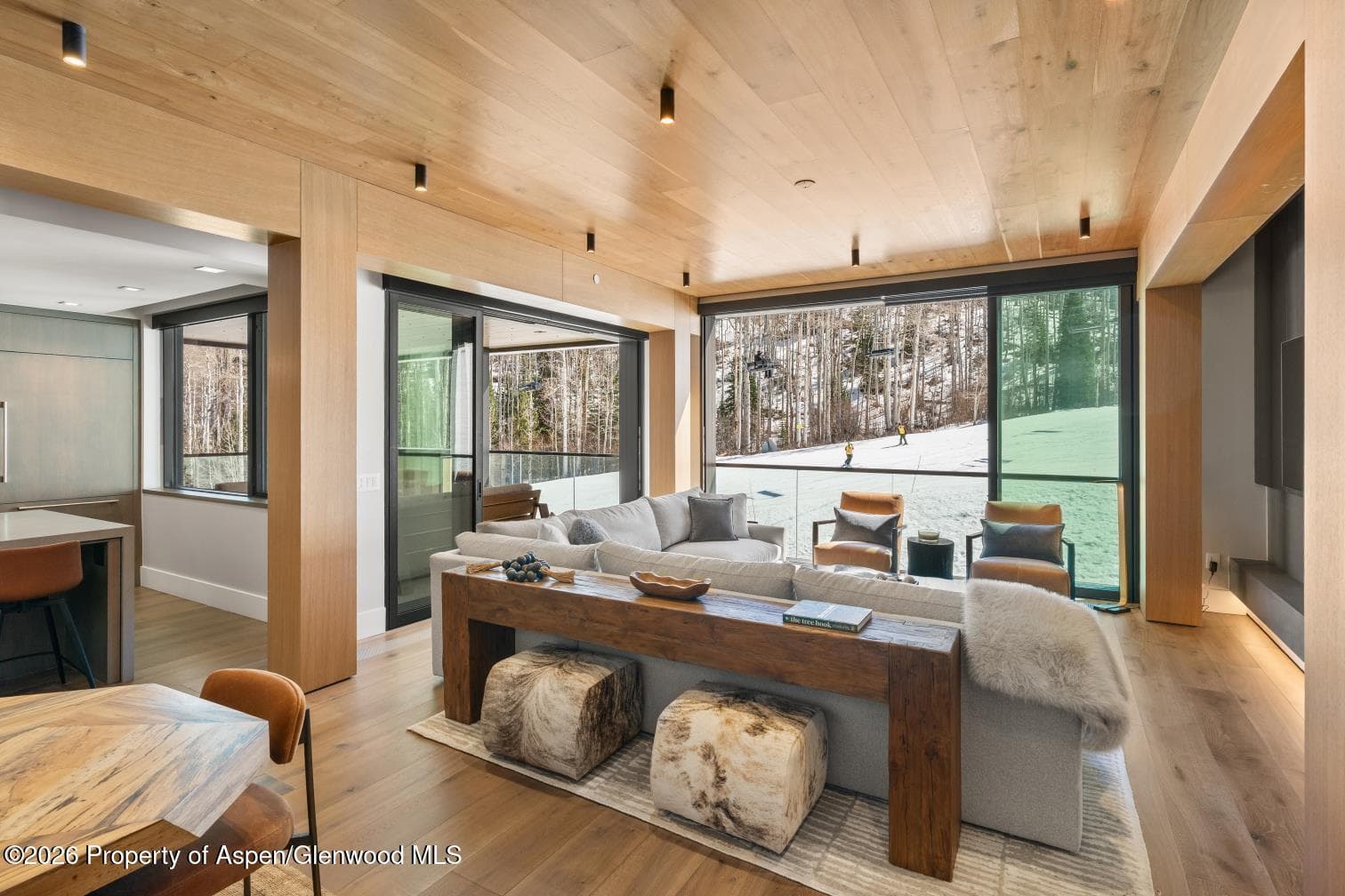 180 Wood Road 402, Snowmass Village, CO 81615 - Photo 56