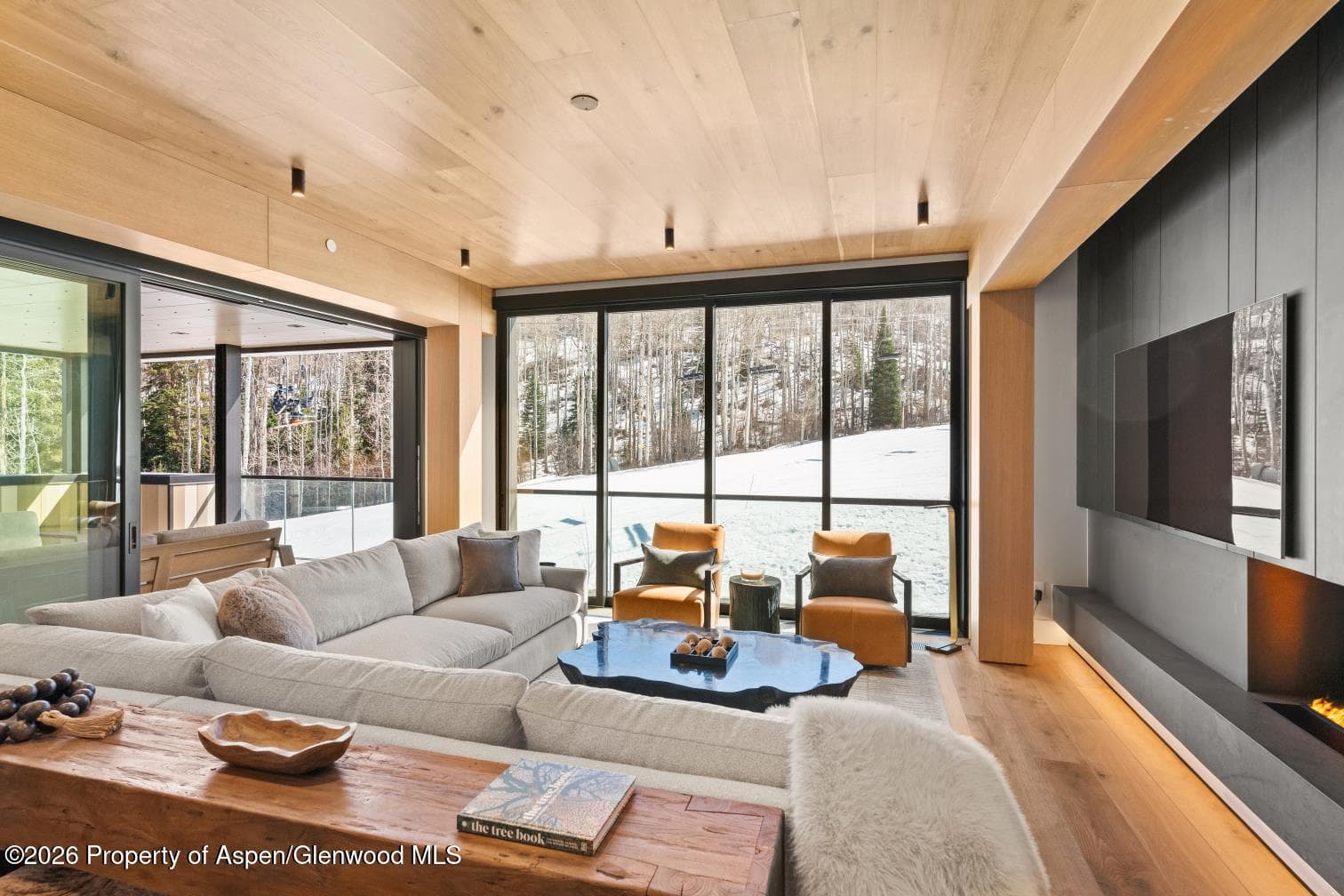 180 Wood Road 402, Snowmass Village, CO 81615 - Photo 10
