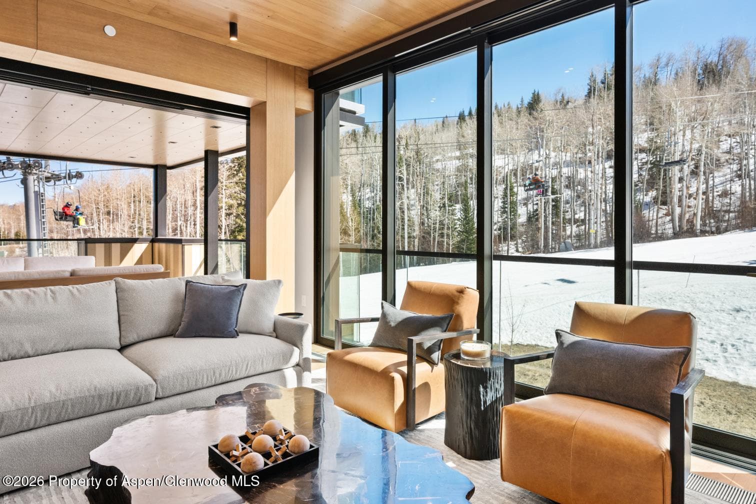 180 Wood Road 402, Snowmass Village, CO 81615 - Photo 38