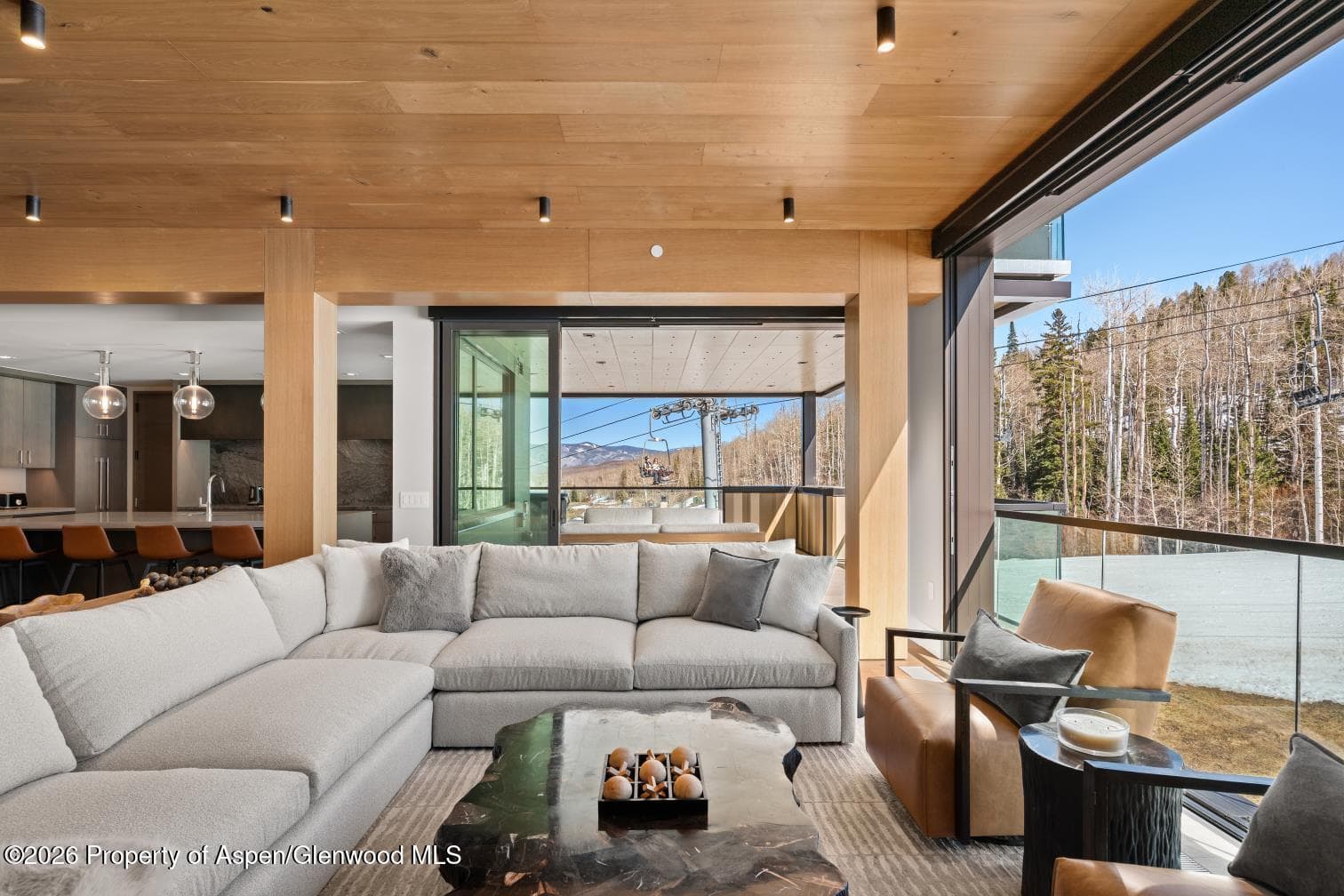 180 Wood Road 402, Snowmass Village, CO 81615 - Photo 49