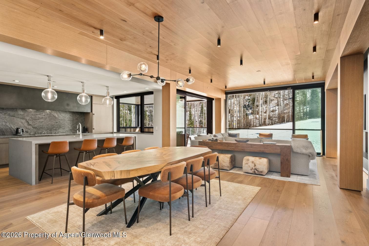 180 Wood Road 402, Snowmass Village, CO 81615 - Photo 11