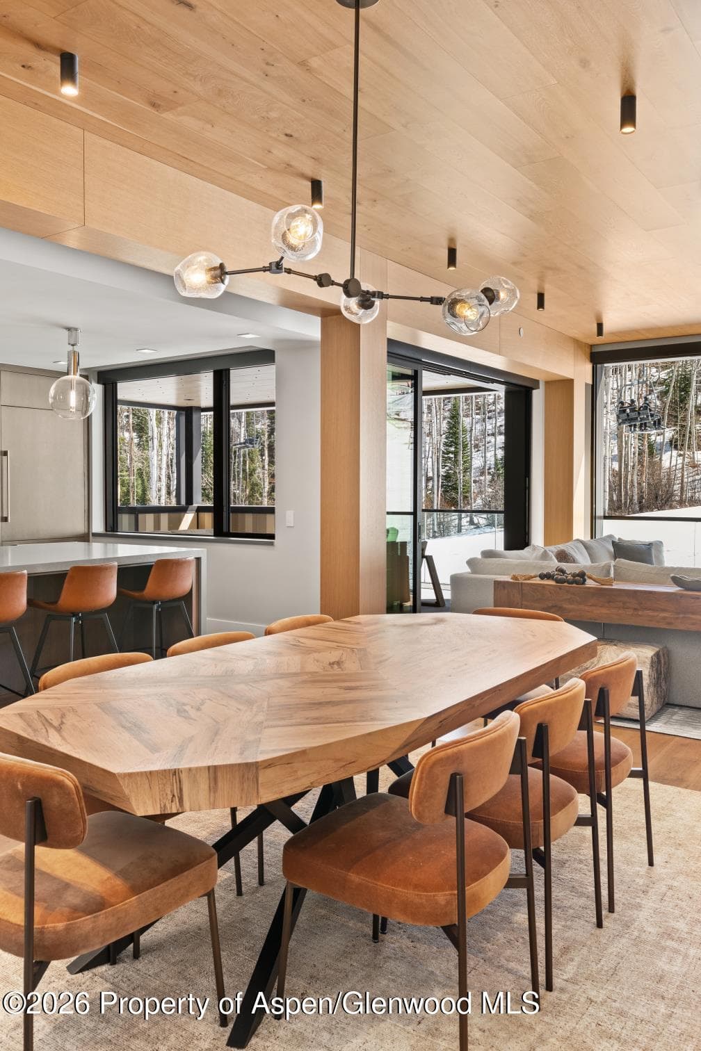 180 Wood Road 402, Snowmass Village, CO 81615 - Photo 60