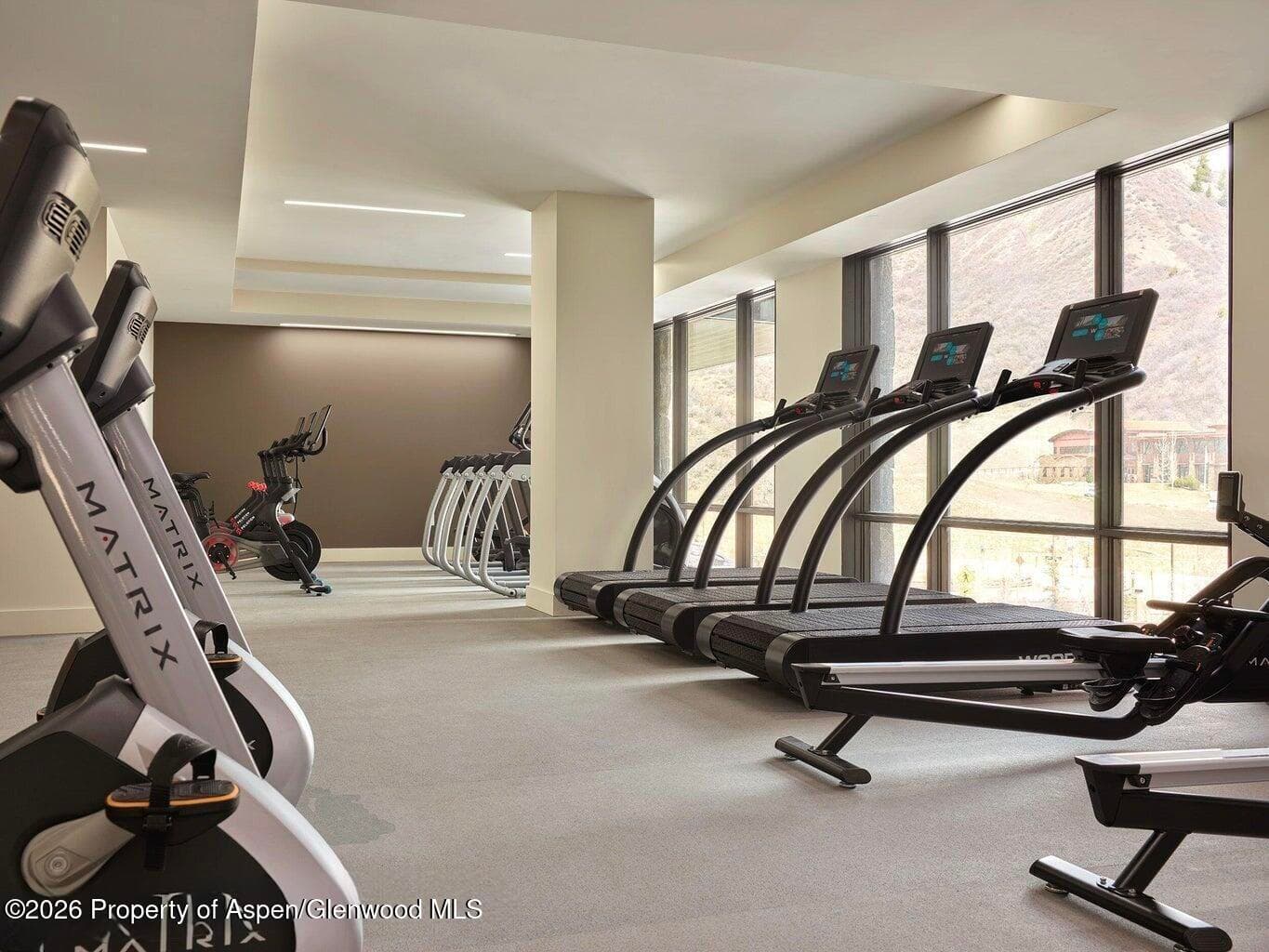 180 Wood Road 402, Snowmass Village, CO 81615 - Photo 87
