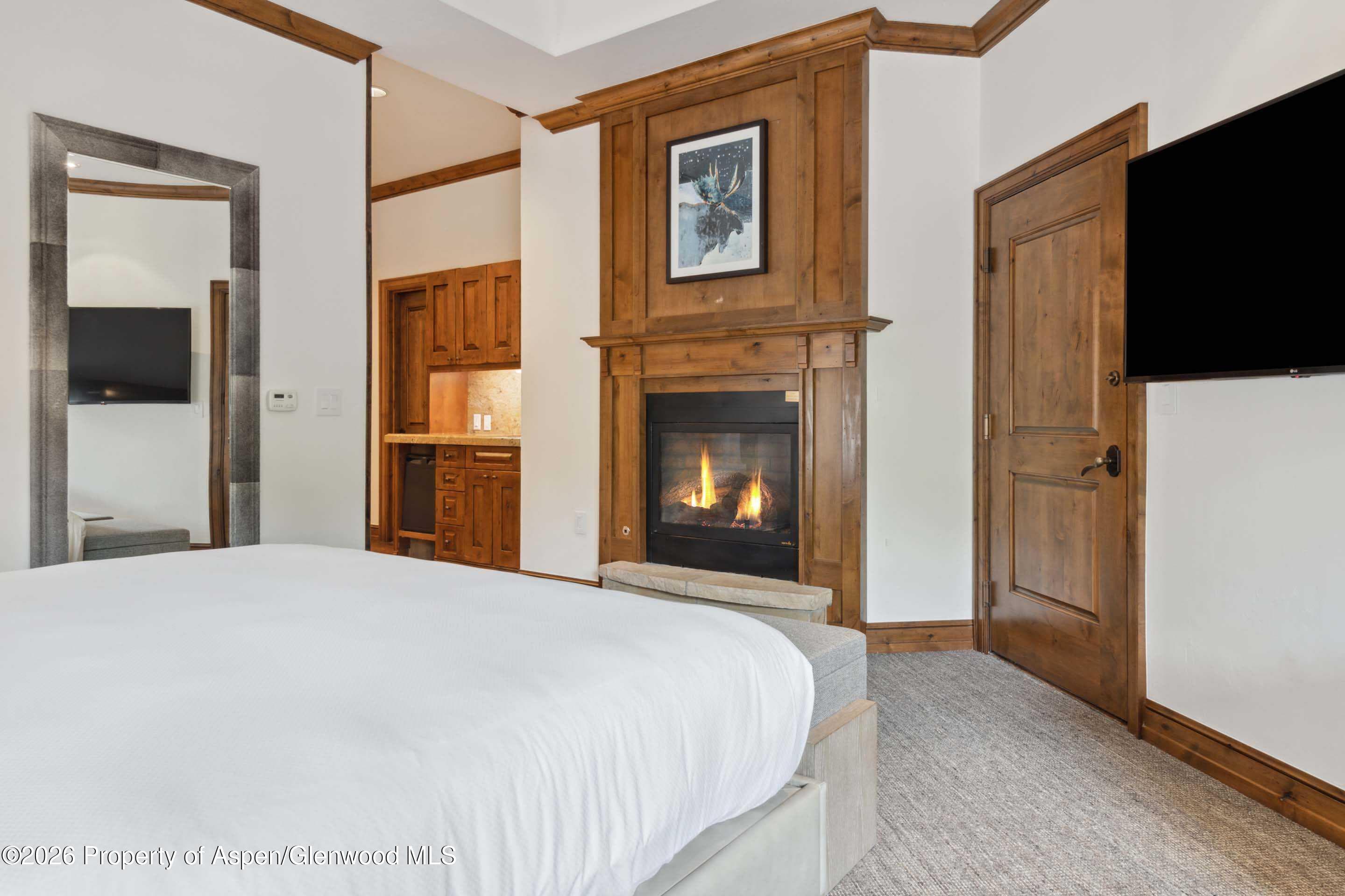 415 E Dean St, Unit 8, Week 10, Aspen, CO 81611 - Photo 15