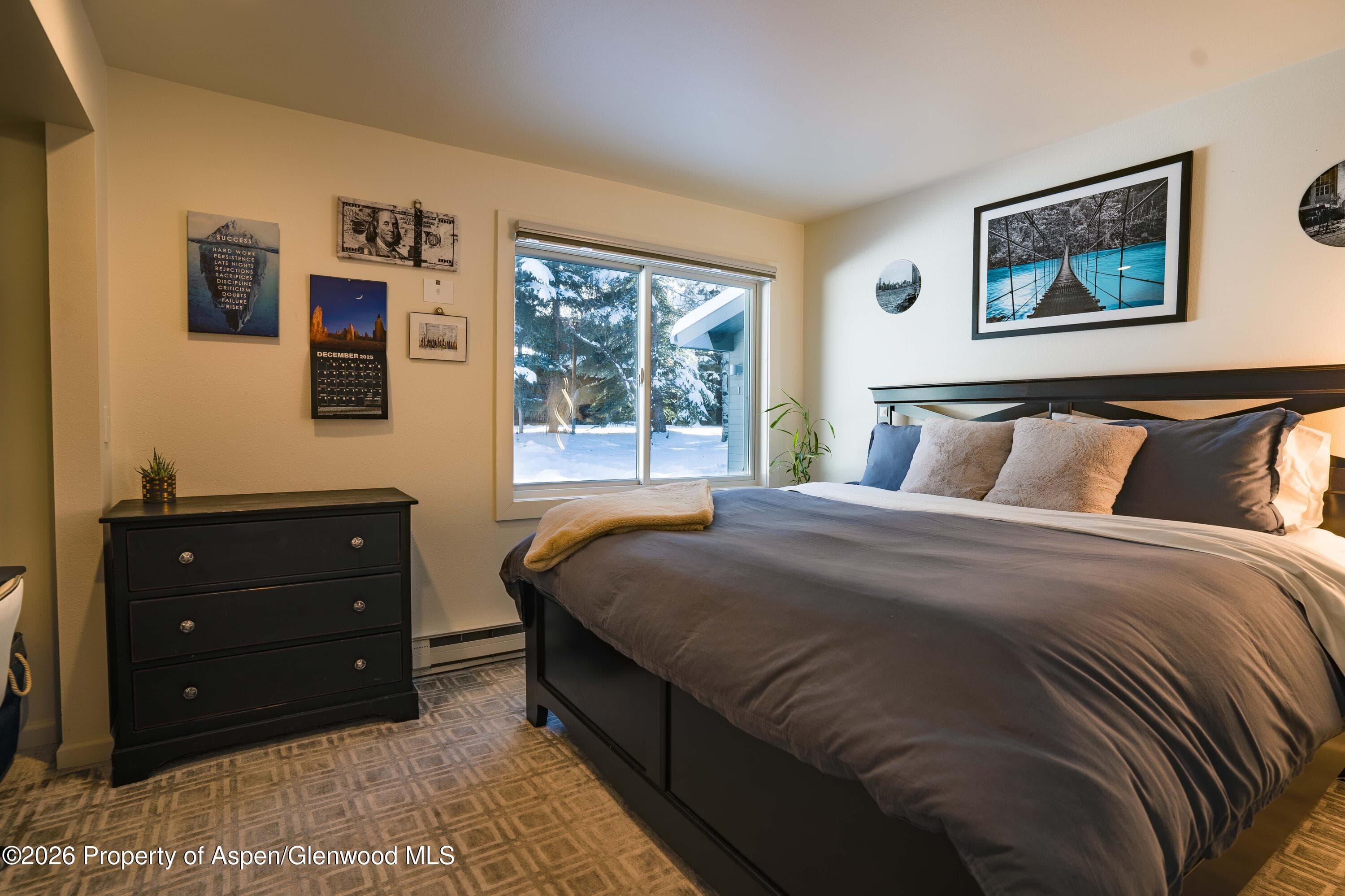 1445 Sierra Vista Drive Unit 2, Aspen, CO 81611 - Photo 13