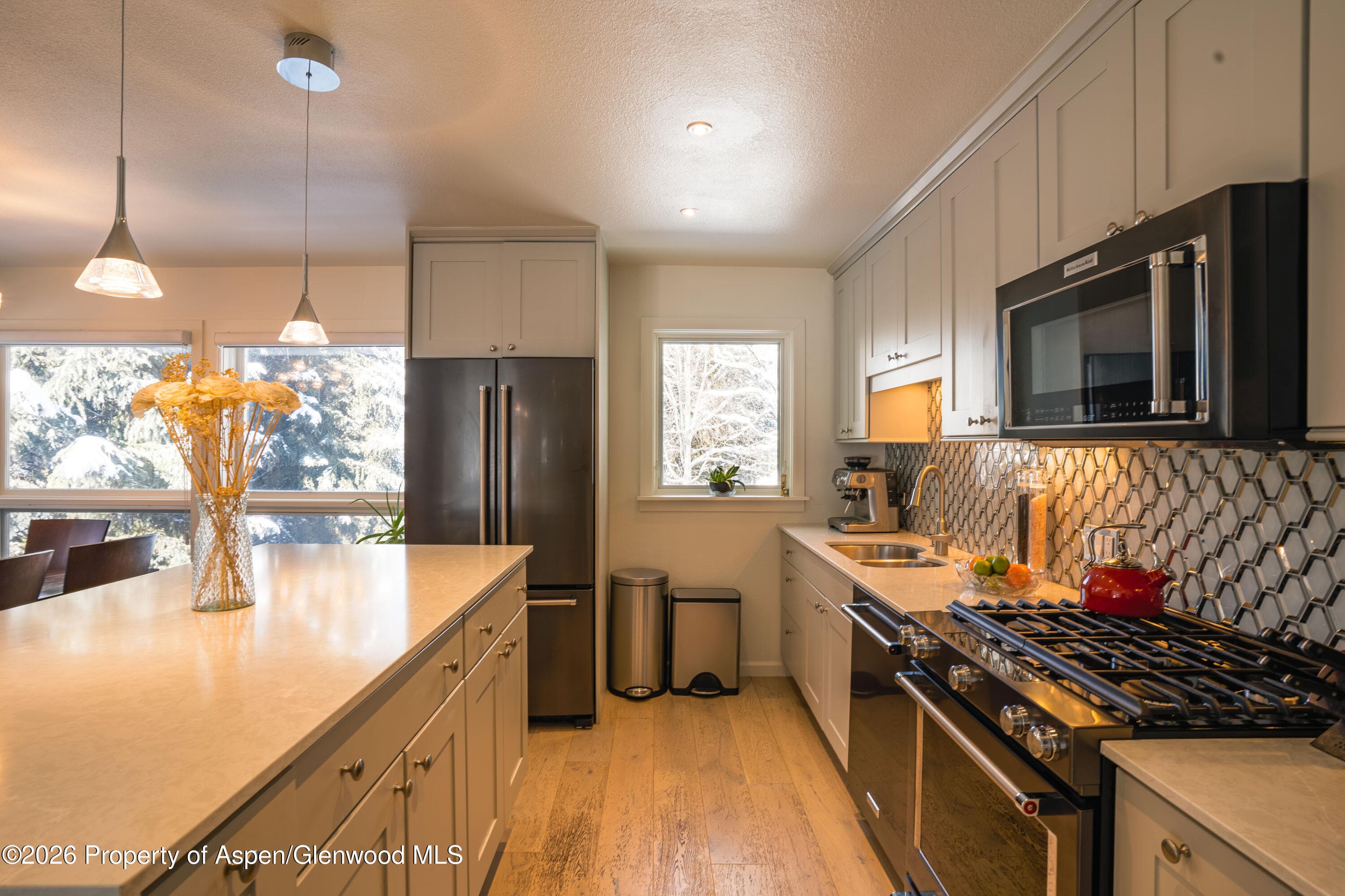 1445 Sierra Vista Drive Unit 2, Aspen, CO 81611 - Photo 6
