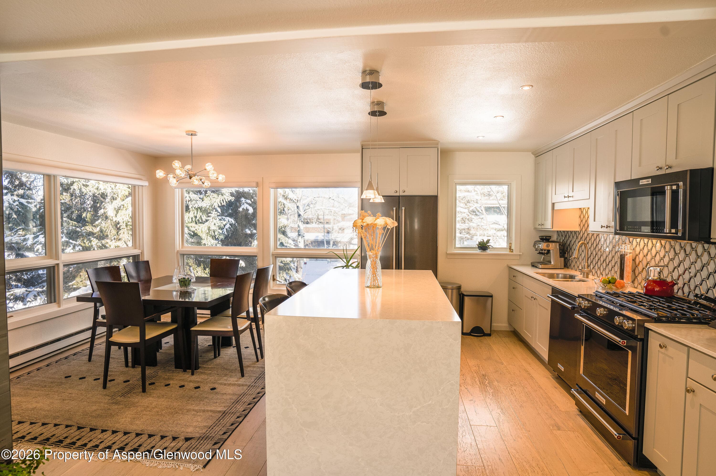 1445 Sierra Vista Drive Unit 2, Aspen, CO 81611 - Photo 5