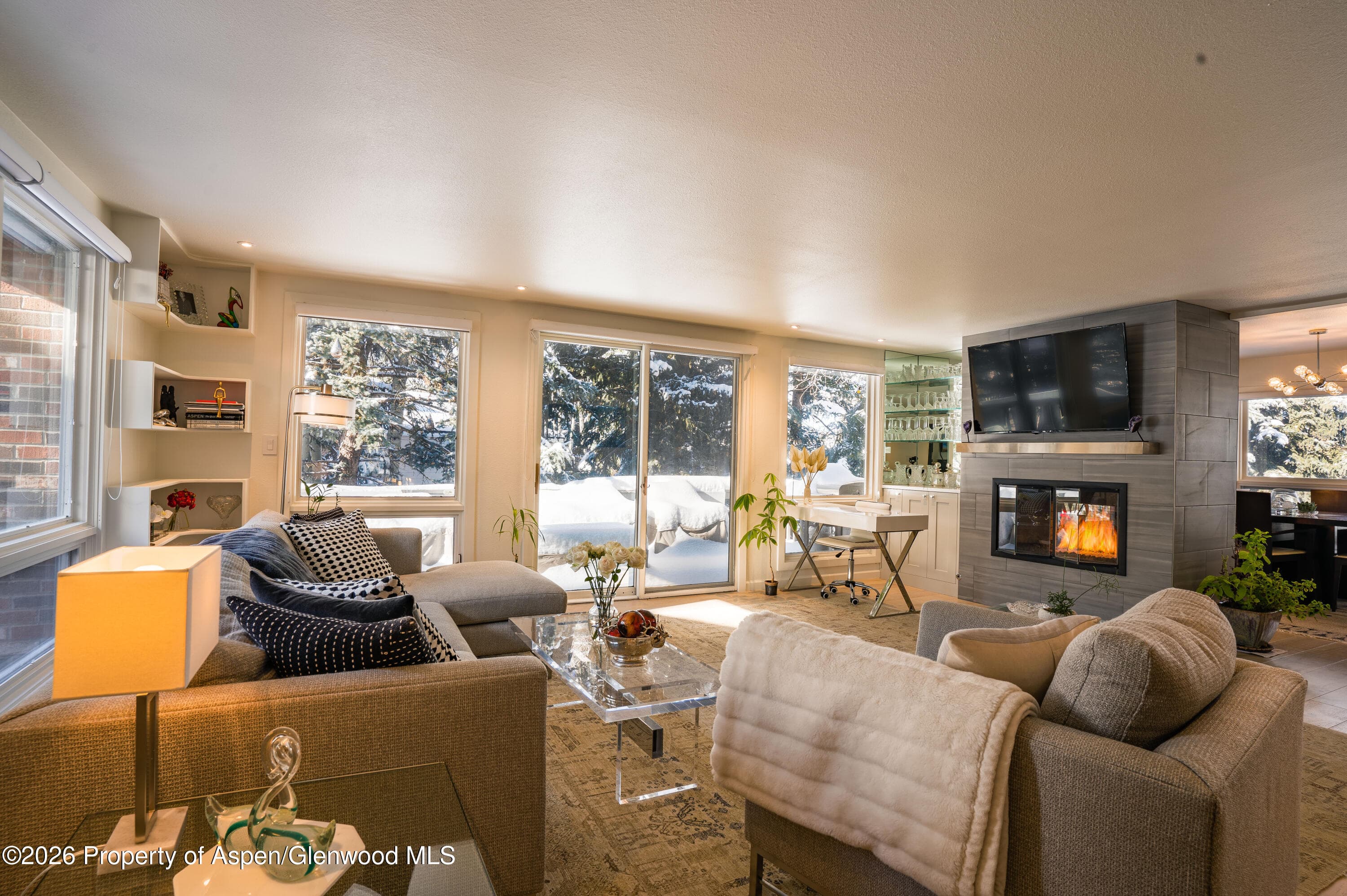 1445 Sierra Vista Drive Unit 2, Aspen, CO 81611 - Photo 8