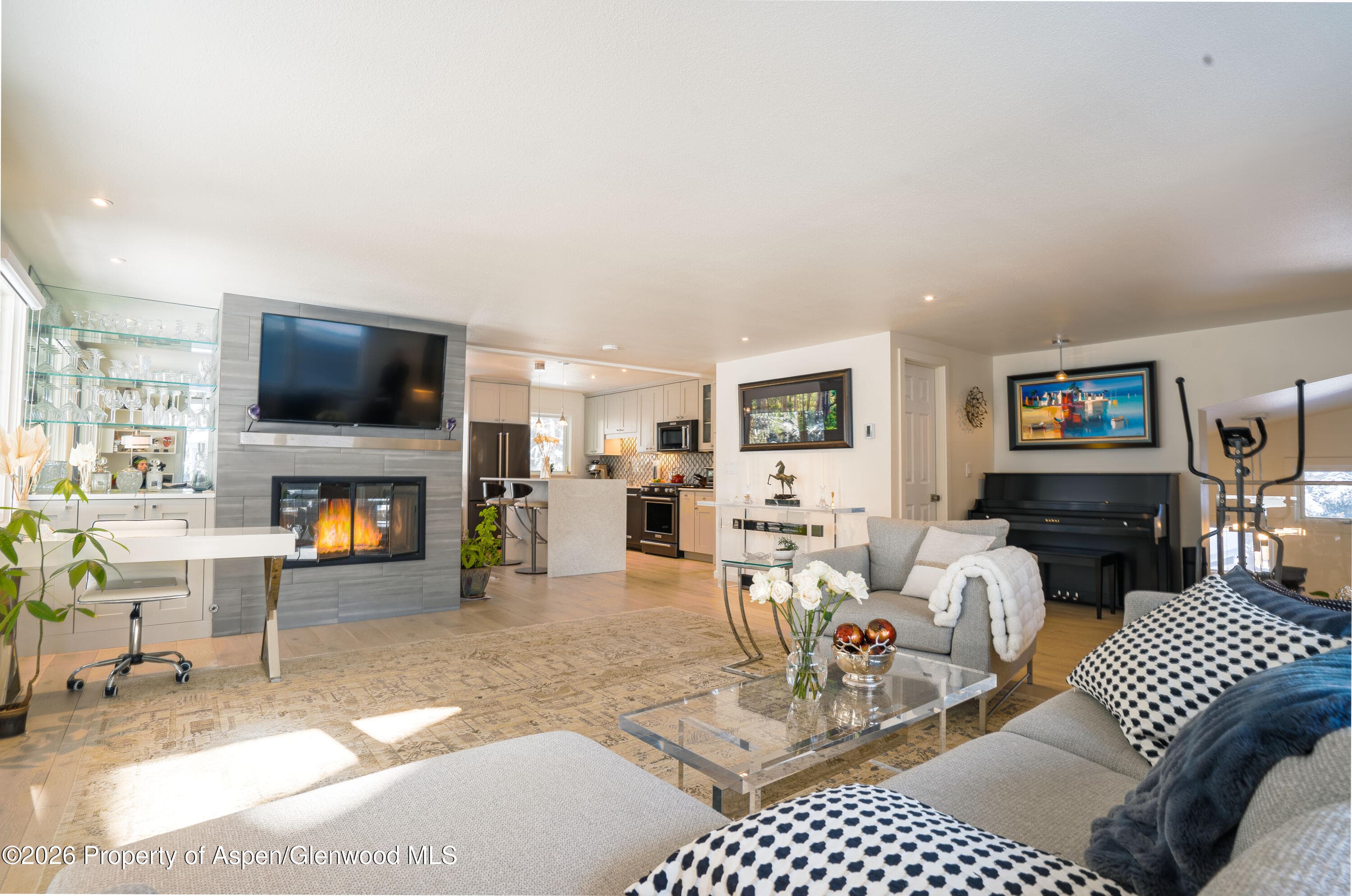 1445 Sierra Vista Drive Unit 2, Aspen, CO 81611 - Photo 4