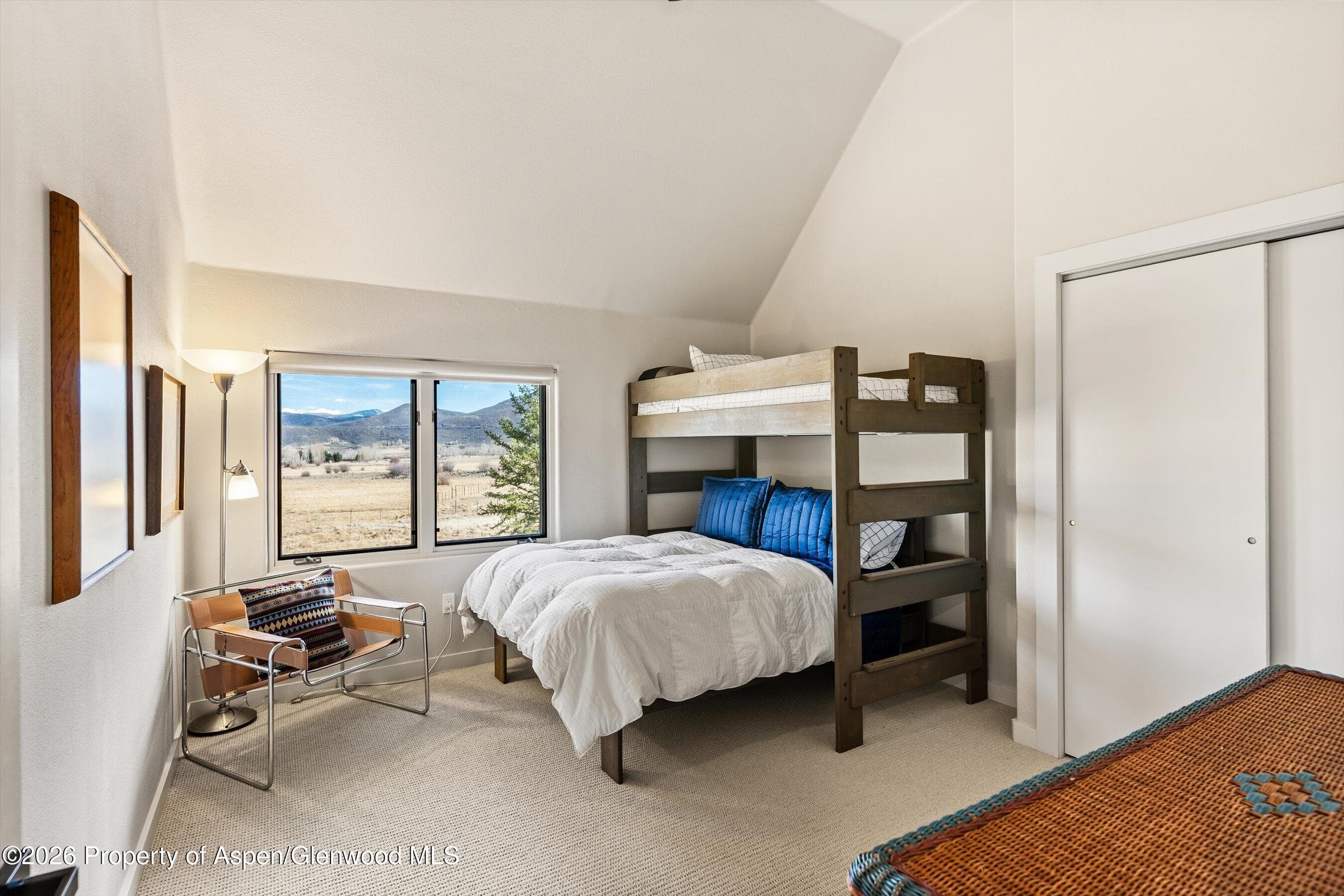 90 Alexander Avenue, Snowmass, CO 81654 - Photo 18