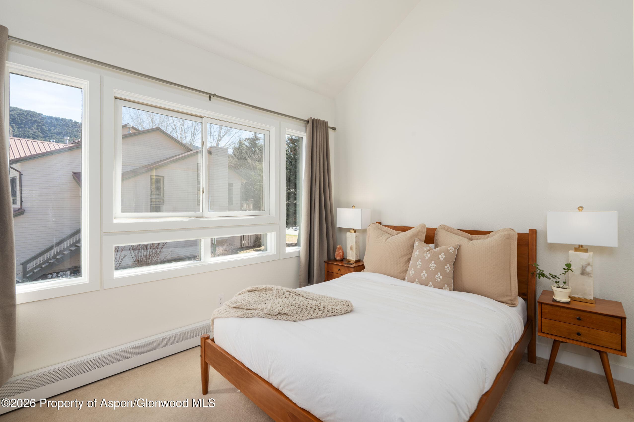 2003 Arbor Park Drive 1-B, Basalt, CO 81621 - Photo 11