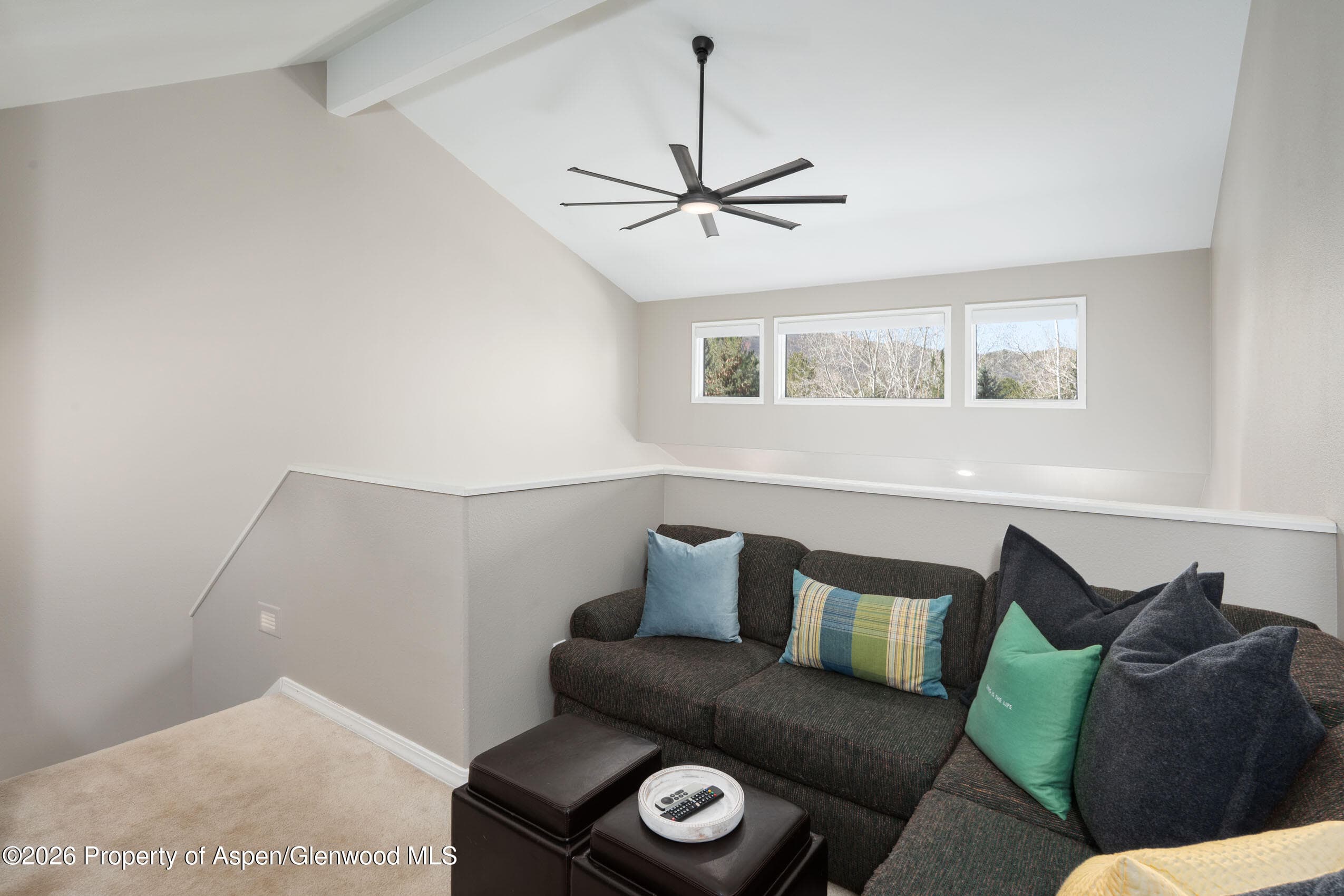 2003 Arbor Park Drive 1-B, Basalt, CO 81621 - Photo 15