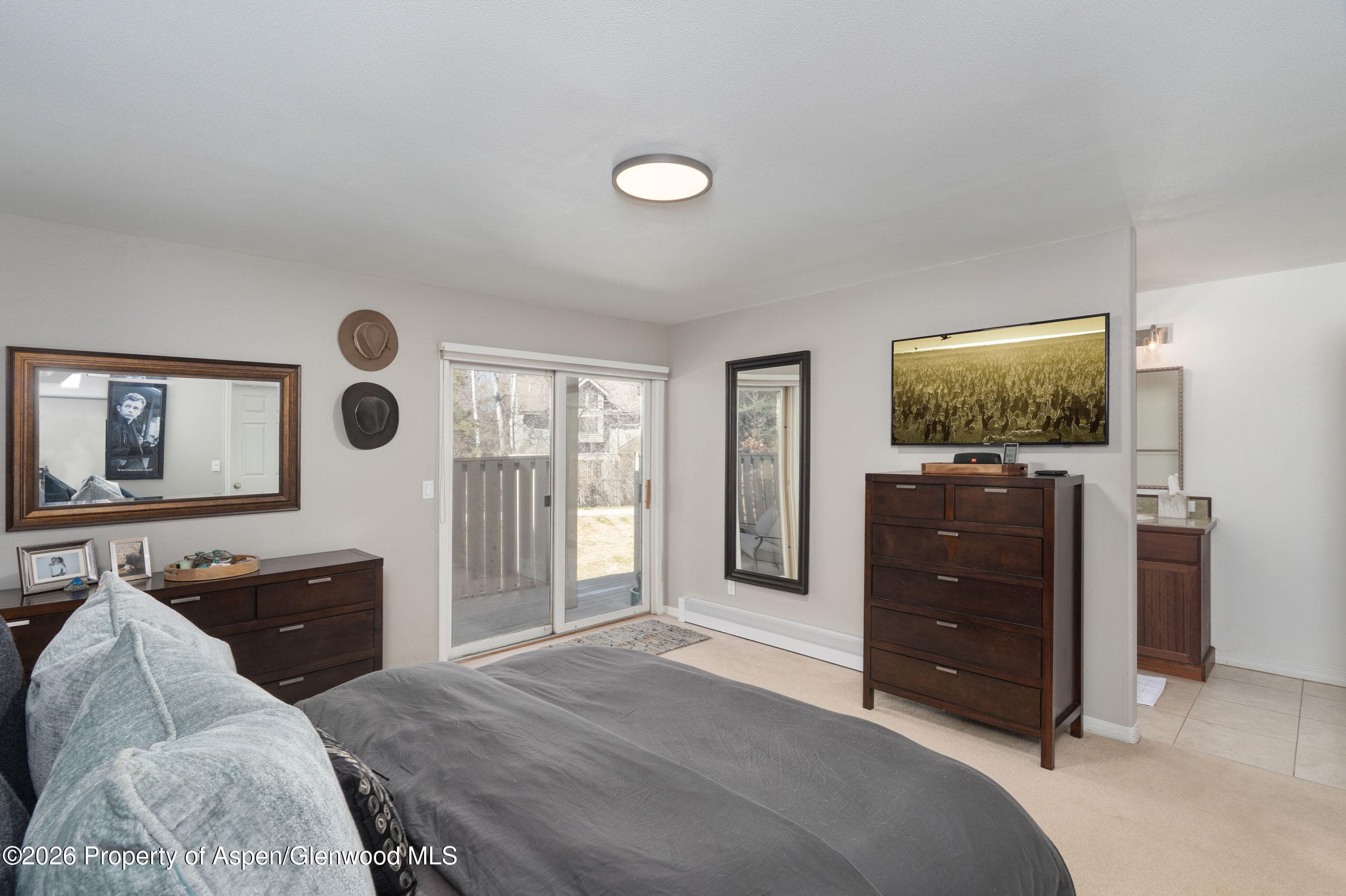 2003 Arbor Park Drive 1-B, Basalt, CO 81621 - Photo 7