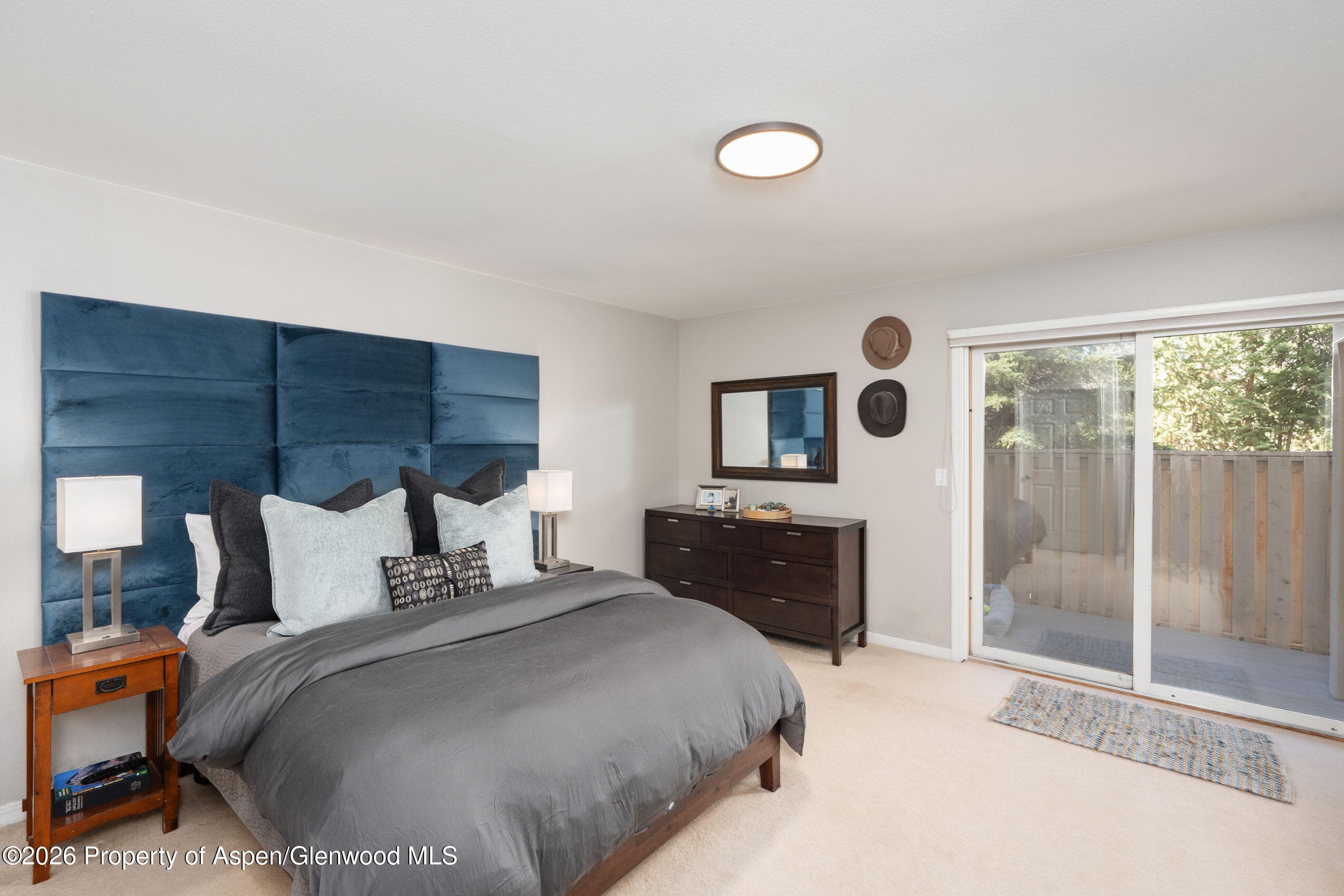 2003 Arbor Park Drive 1-B, Basalt, CO 81621 - Photo 6