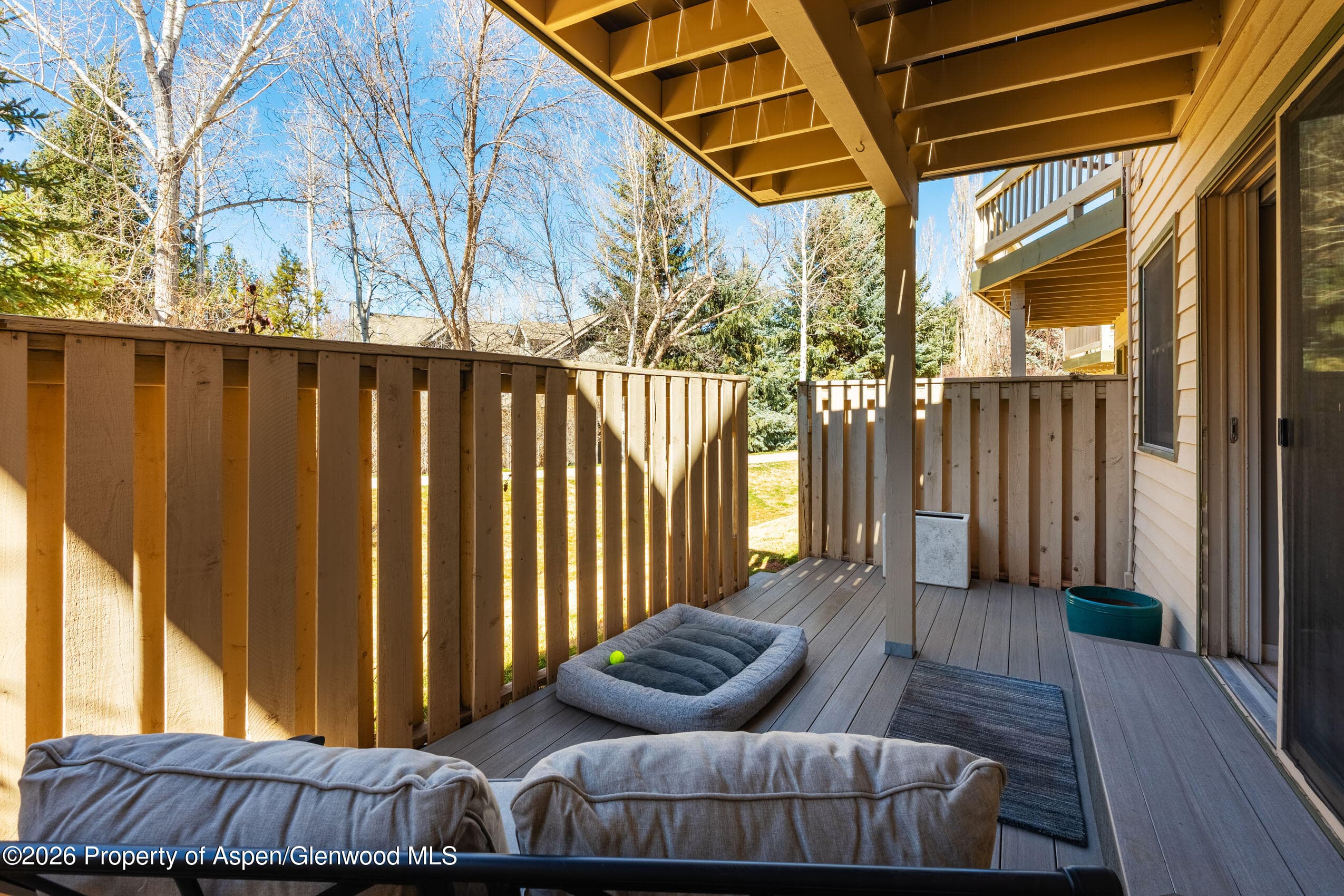 2003 Arbor Park Drive 1-B, Basalt, CO 81621 - Photo 10