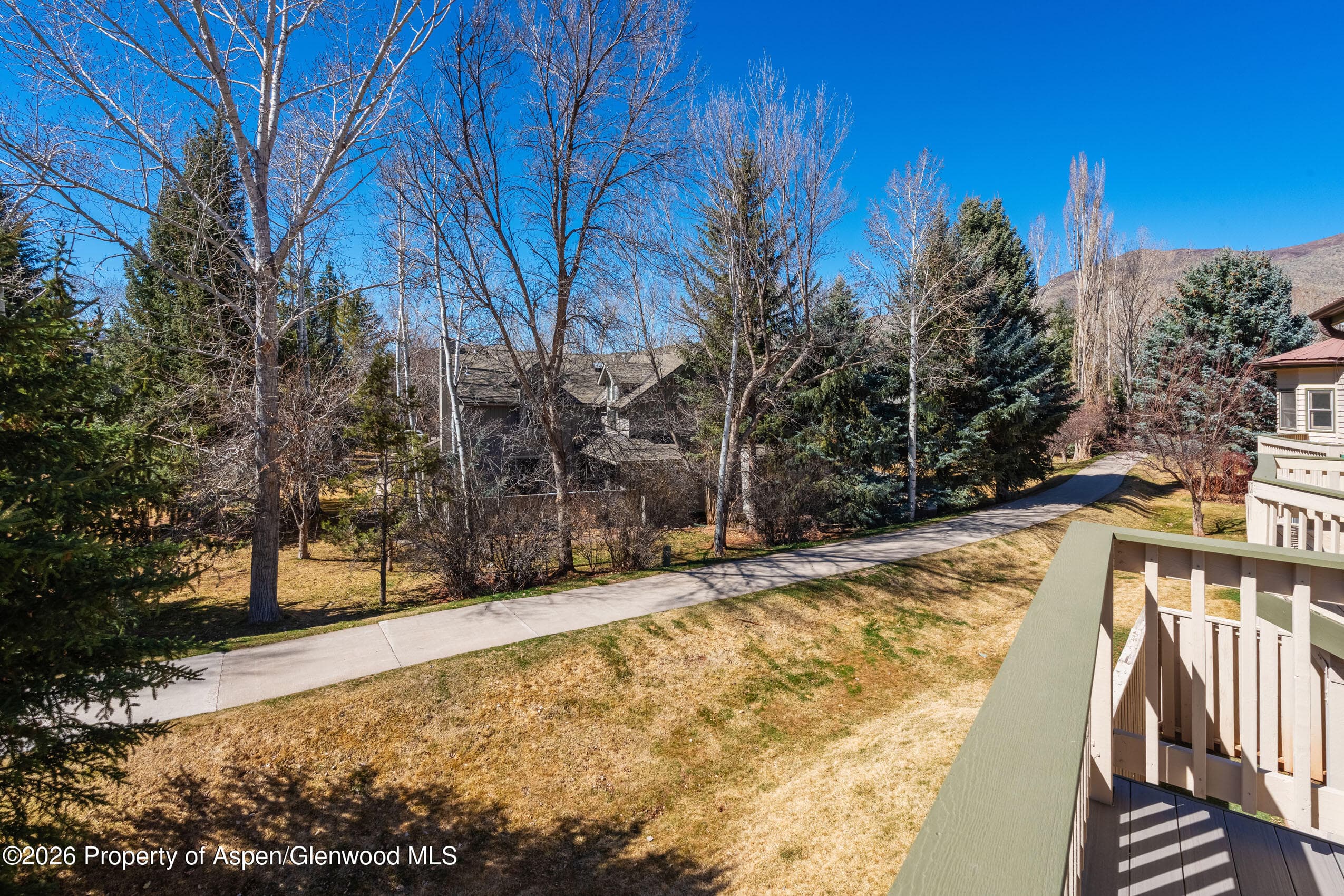 2003 Arbor Park Drive 1-B, Basalt, CO 81621 - Photo 21