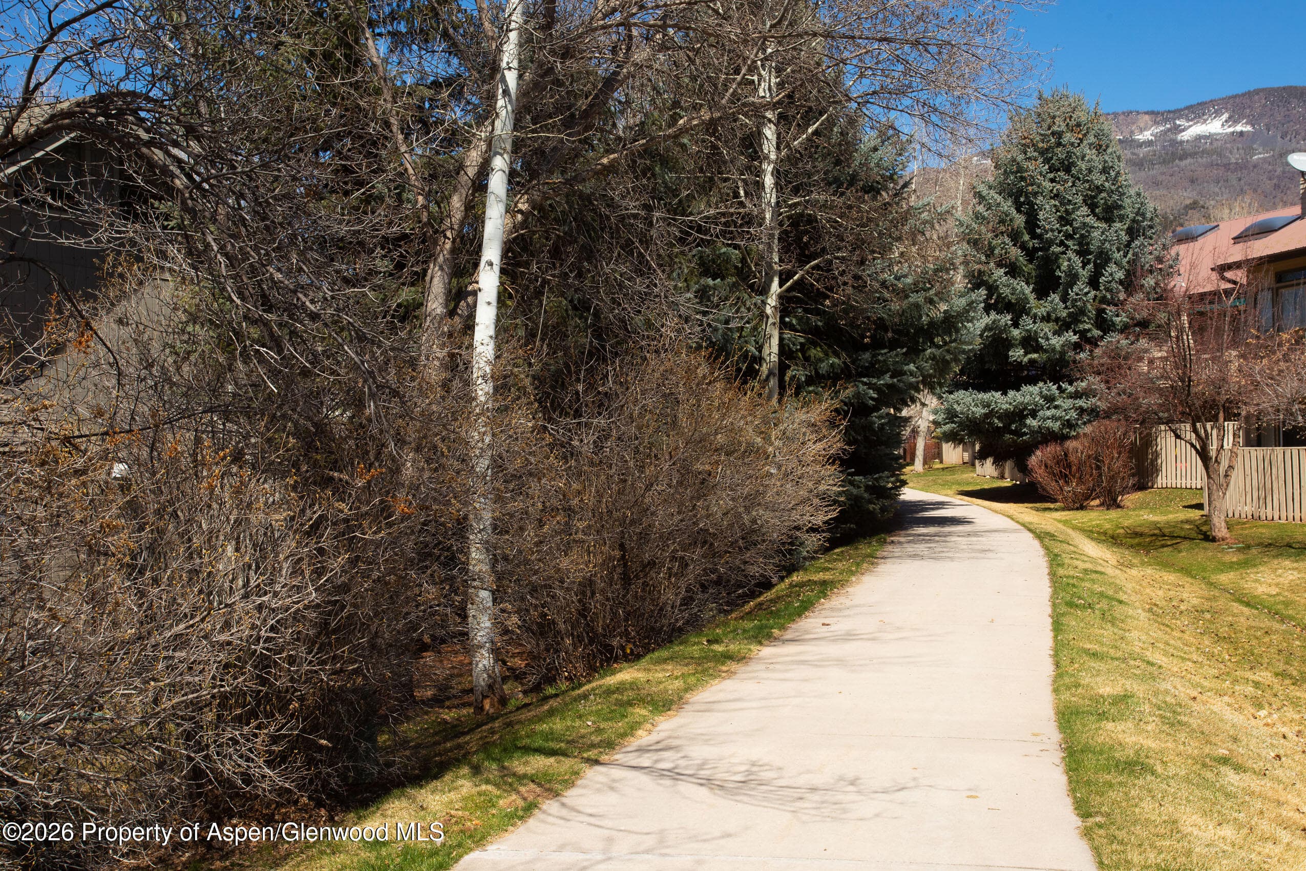 2003 Arbor Park Drive 1-B, Basalt, CO 81621 - Photo 25