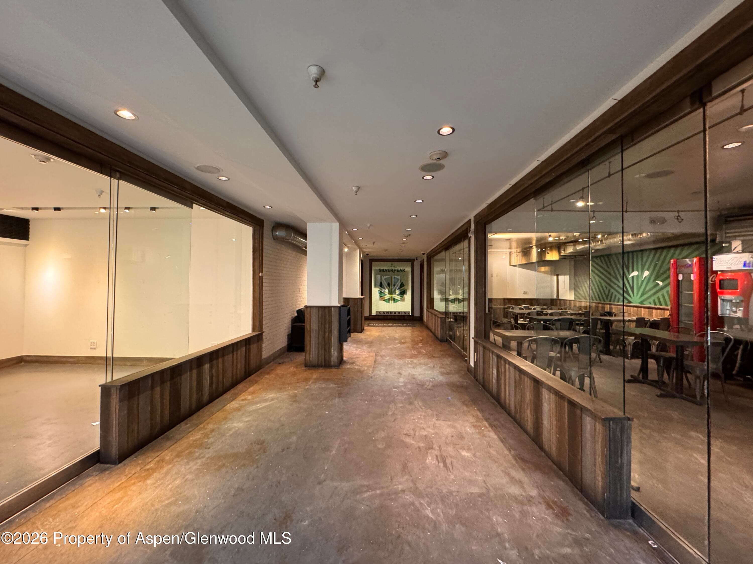 520 E Cooper Avenue Ll1 & Ll3, Aspen, CO 81611 - Photo 12