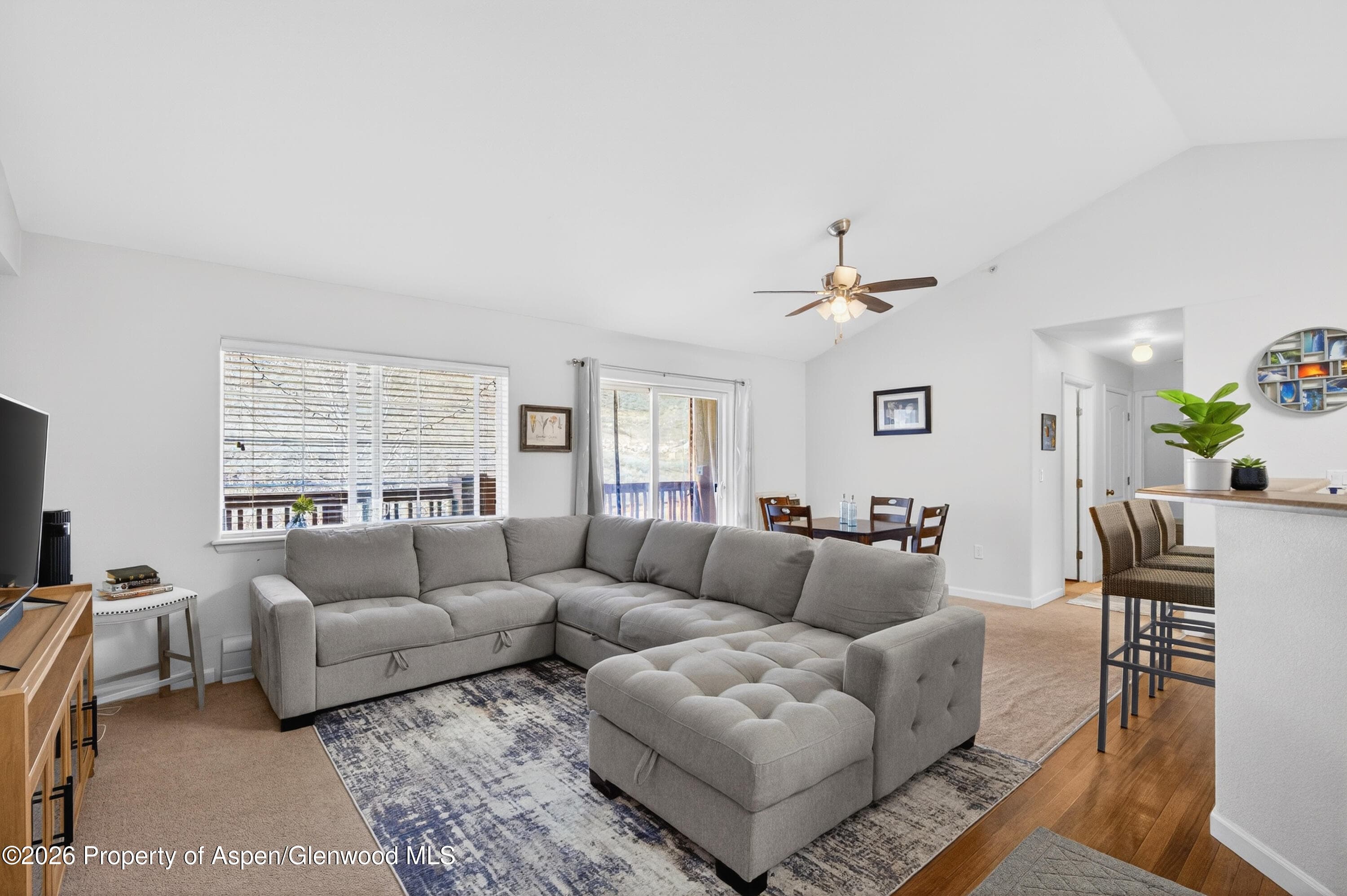 560 River View Drive 706, New Castle, CO 81647 - Photo 4