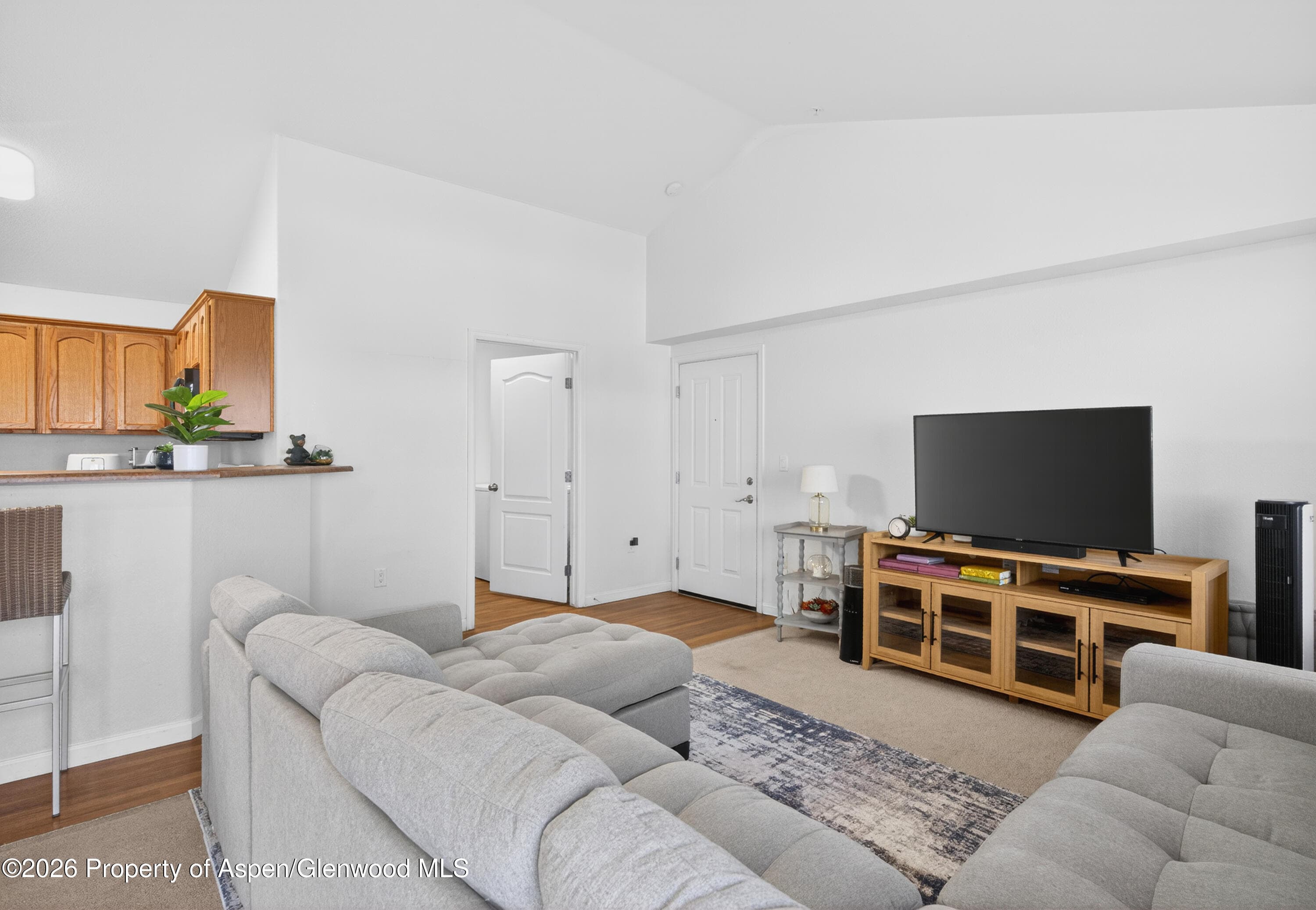 560 River View Drive 706, New Castle, CO 81647 - Photo 5